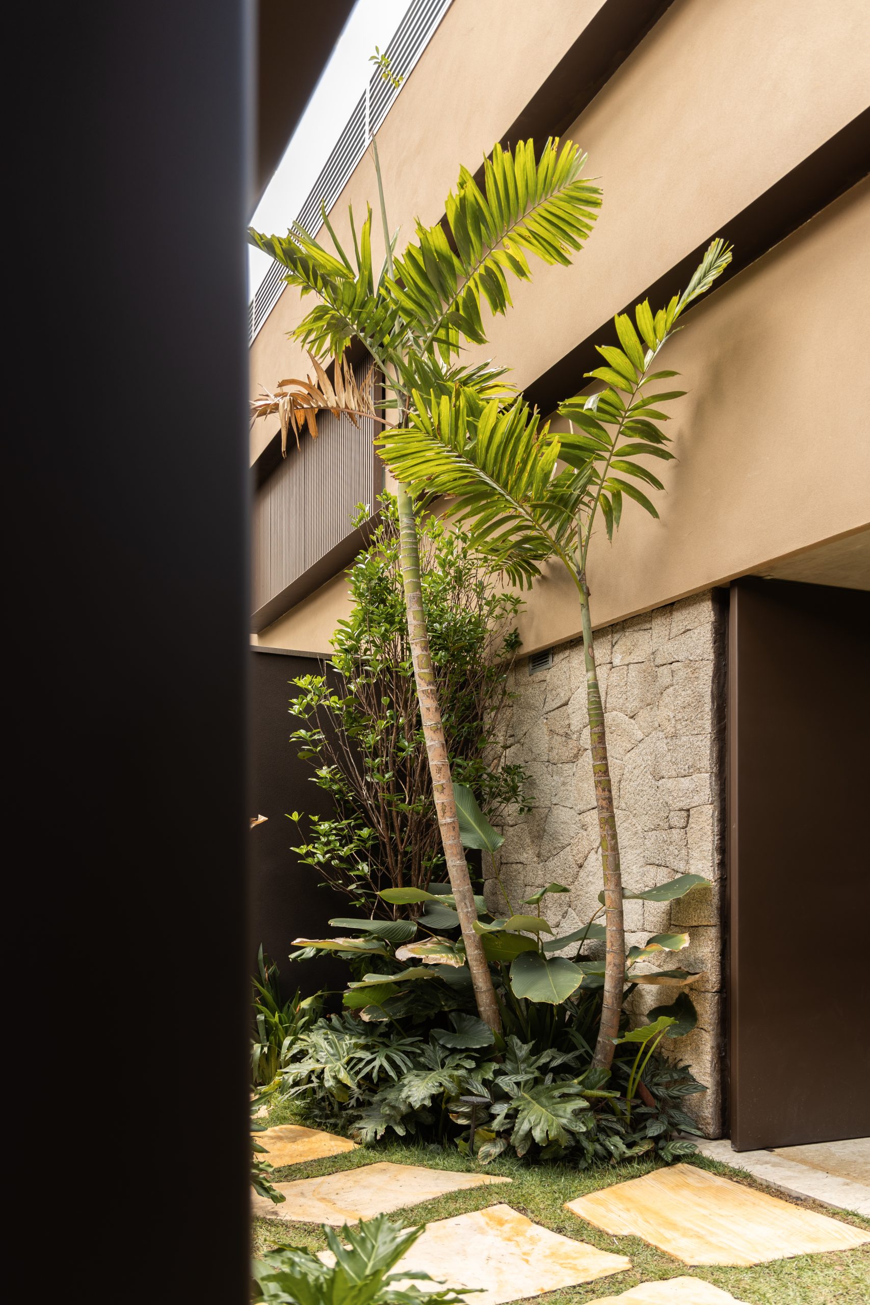 MAS House interior opening onto the planted terrace