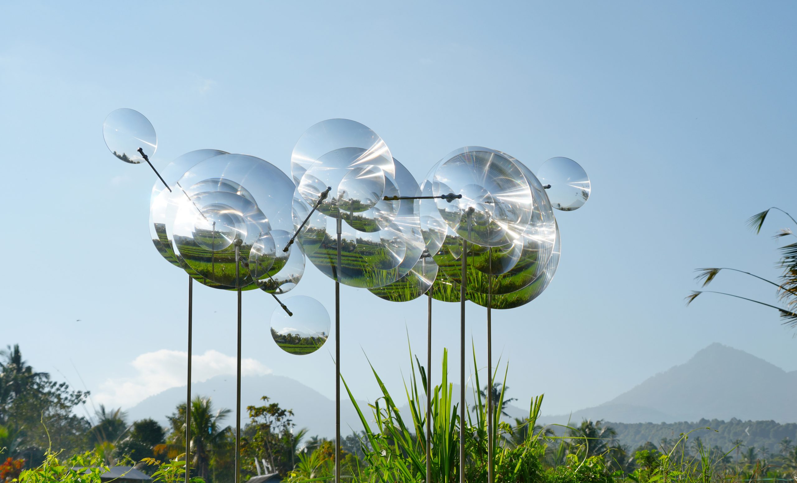 Slender supports raise the circular lenses above the surrounding vegetation.