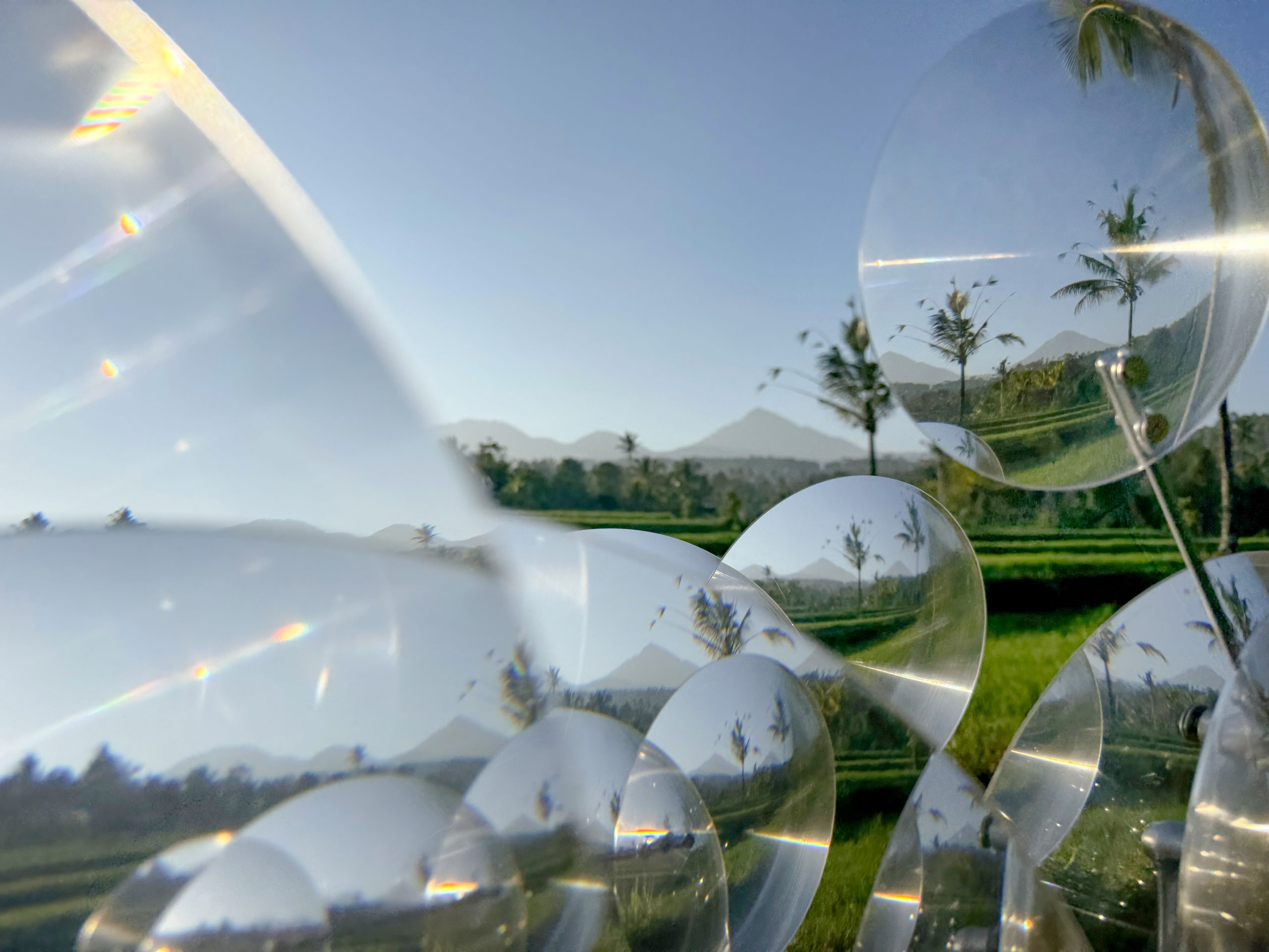 Sunlight crosses the lenses as they frame fragments of trees, fields and sky.