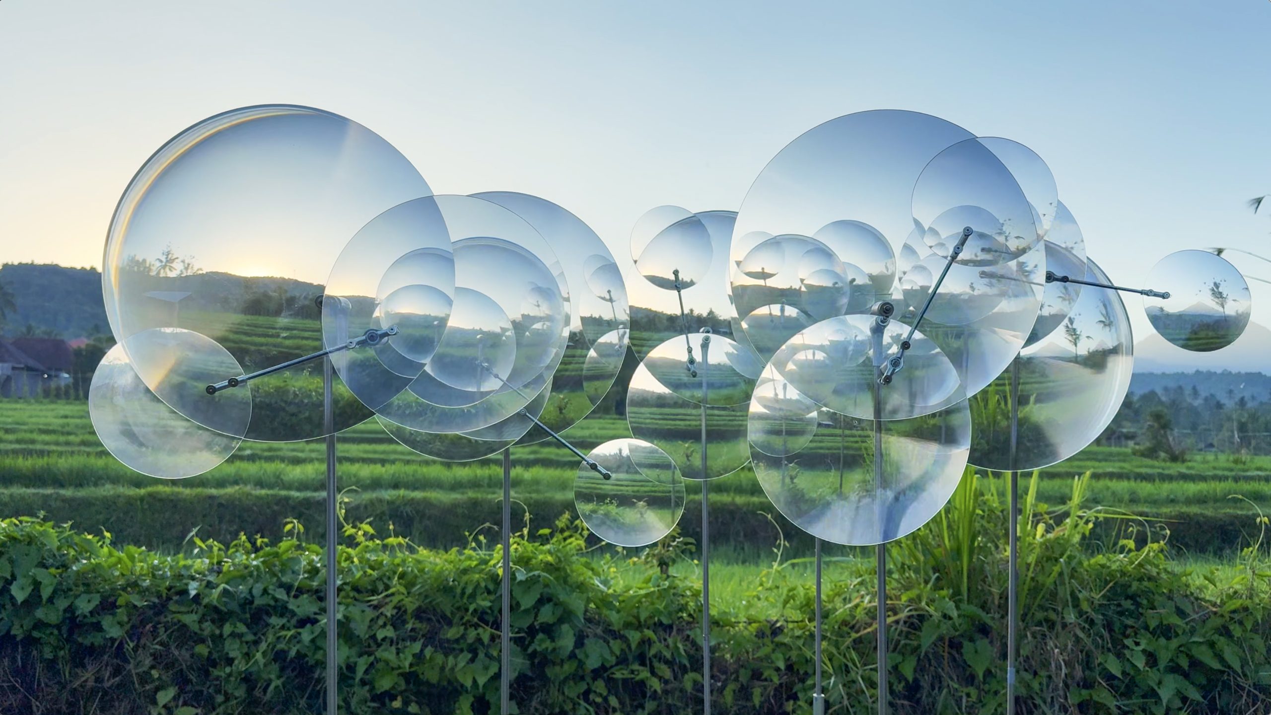 Warm evening light changes the appearance of the installation above the rice fields.