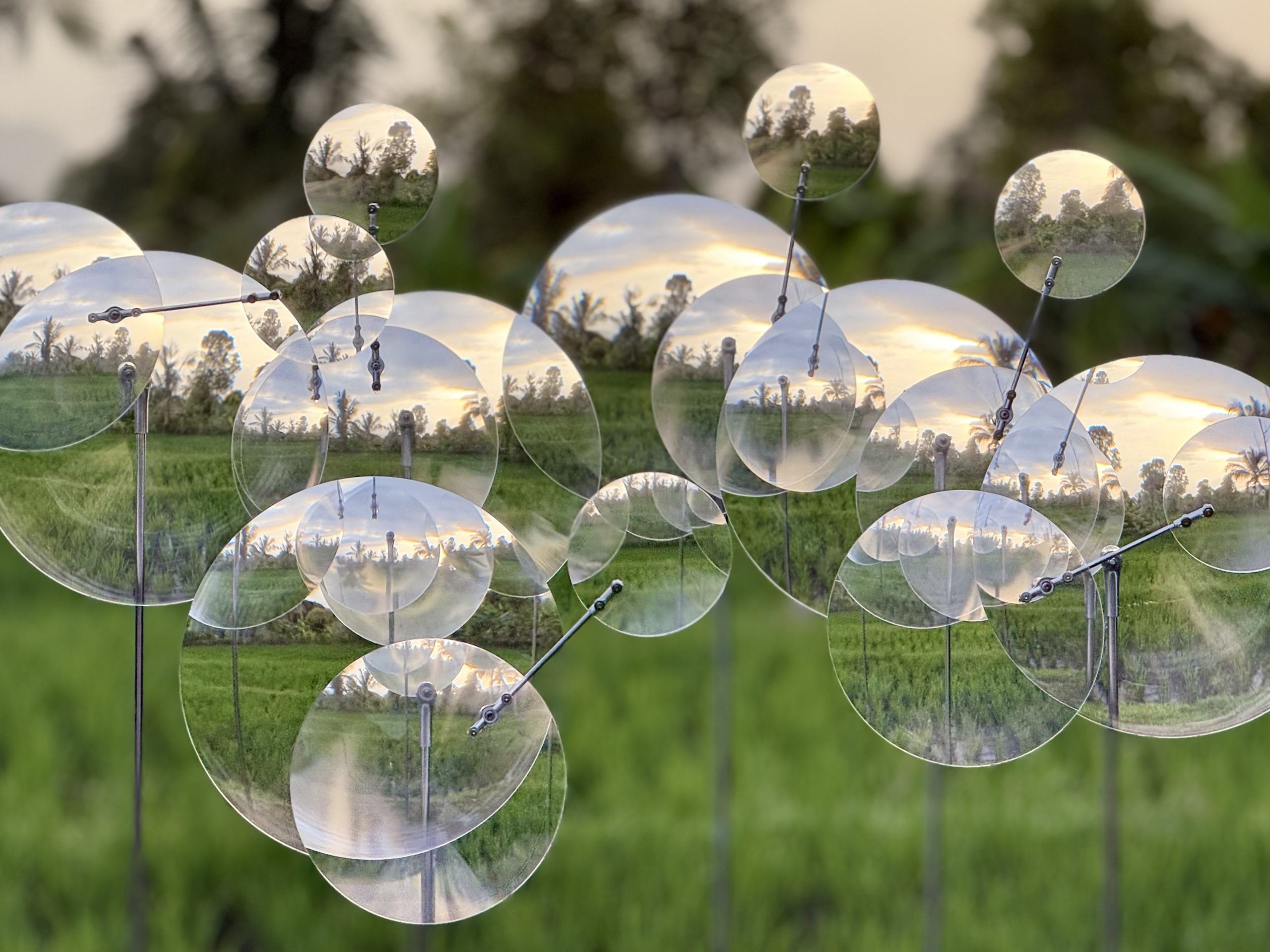The lenses catch the last light against a darker backdrop of trees.