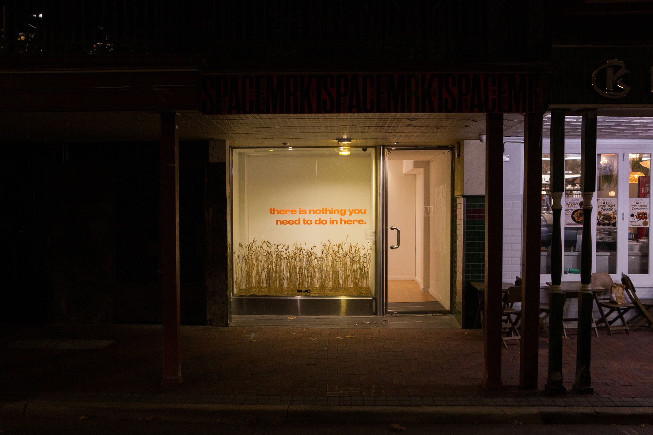 The installation title appears on a Rokeby Road shopfront window at night