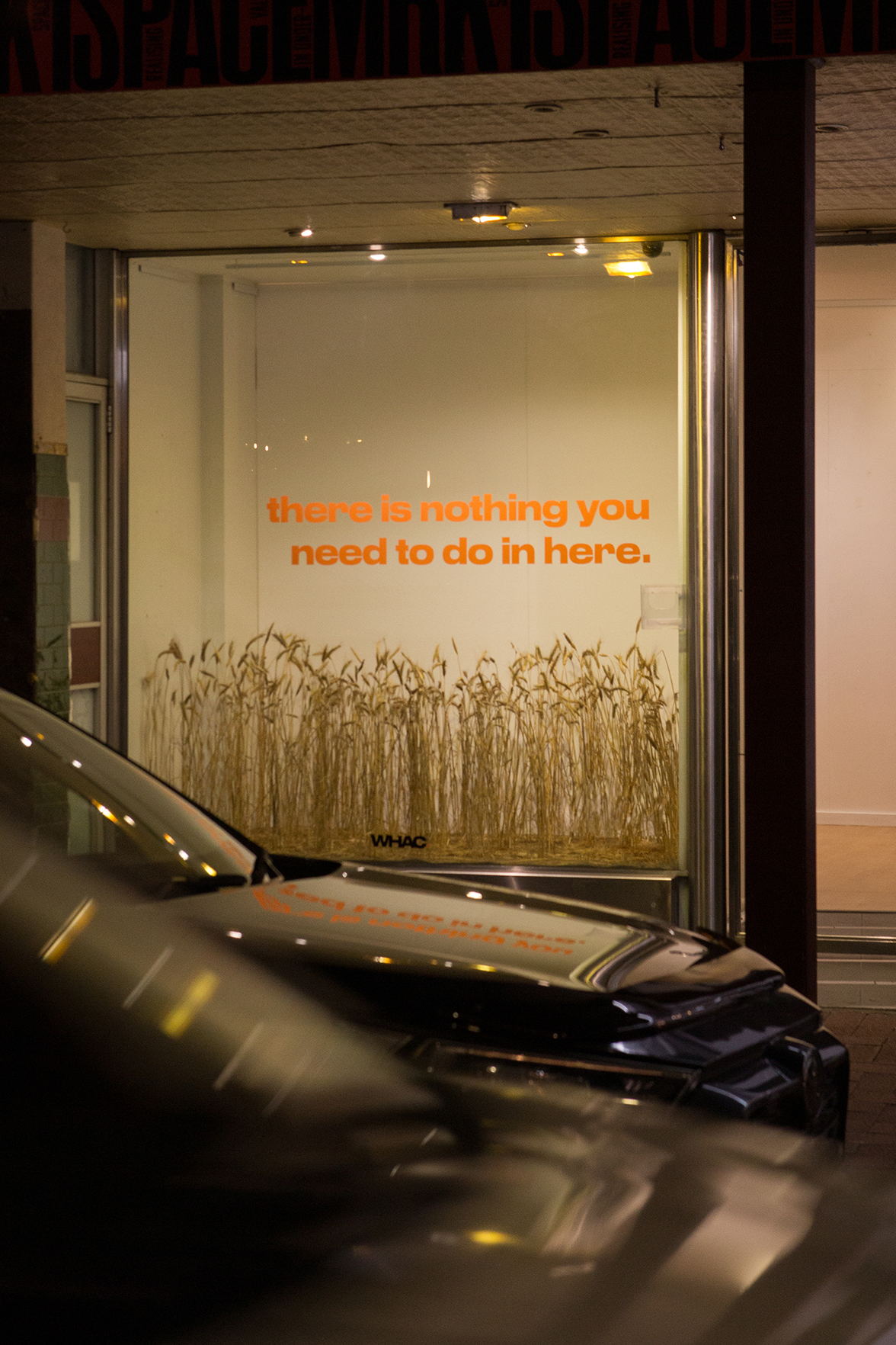 A shopfront window frames a small wheat field and the installation title