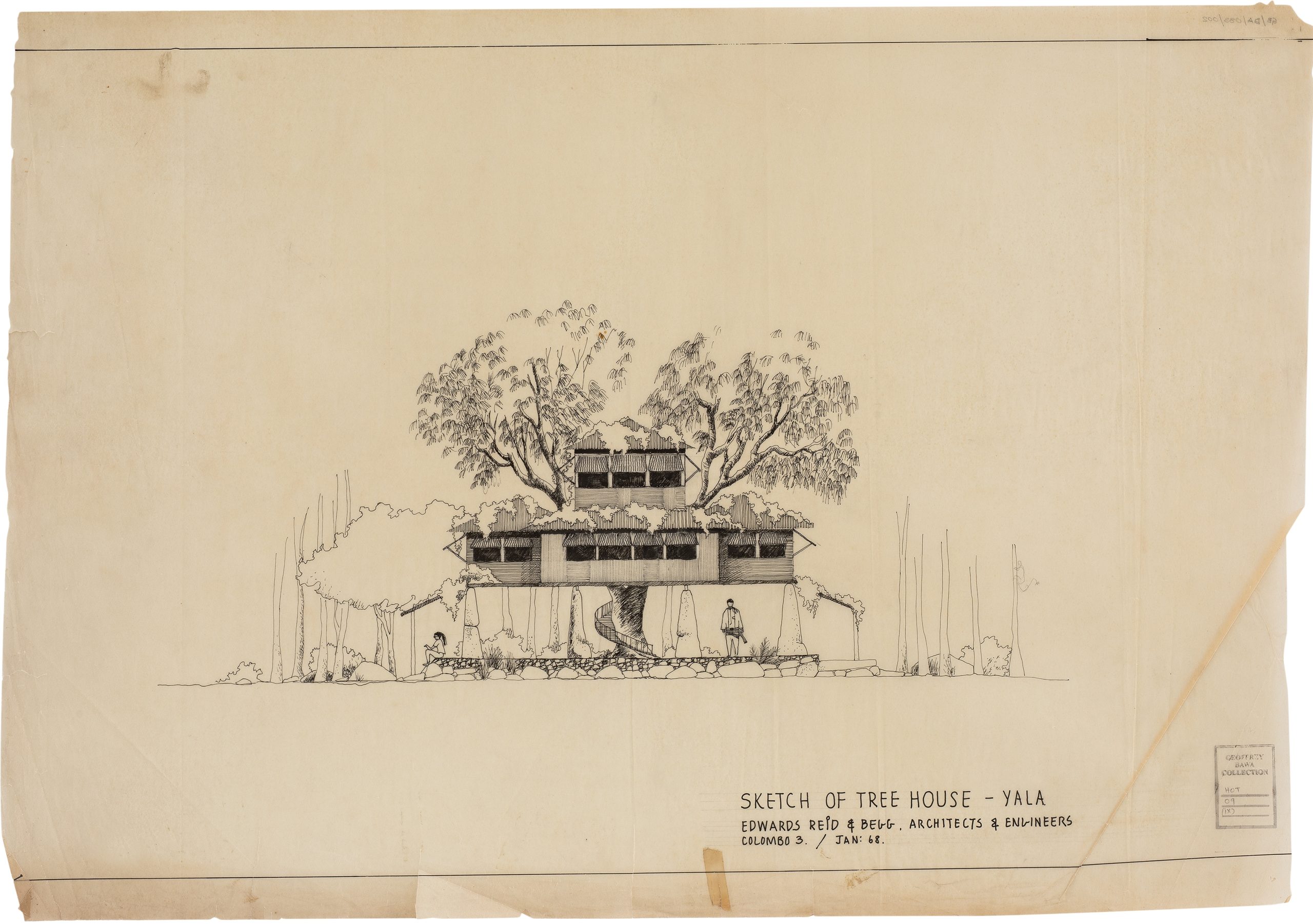 Elevation drawing for a tree house scheme at Yala Bungalows