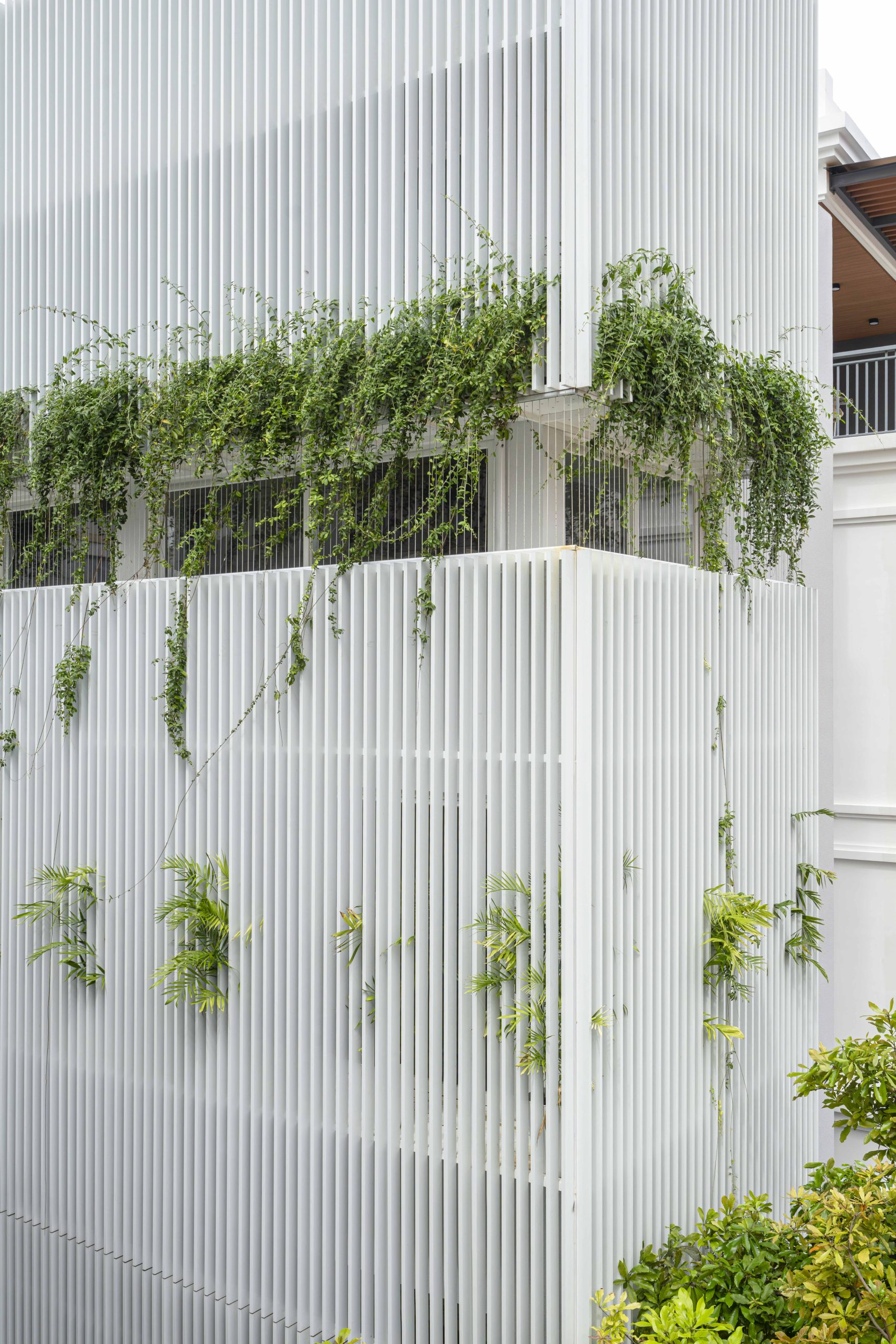 Túi Studio wraps Half Solid House in white louvres and greenery