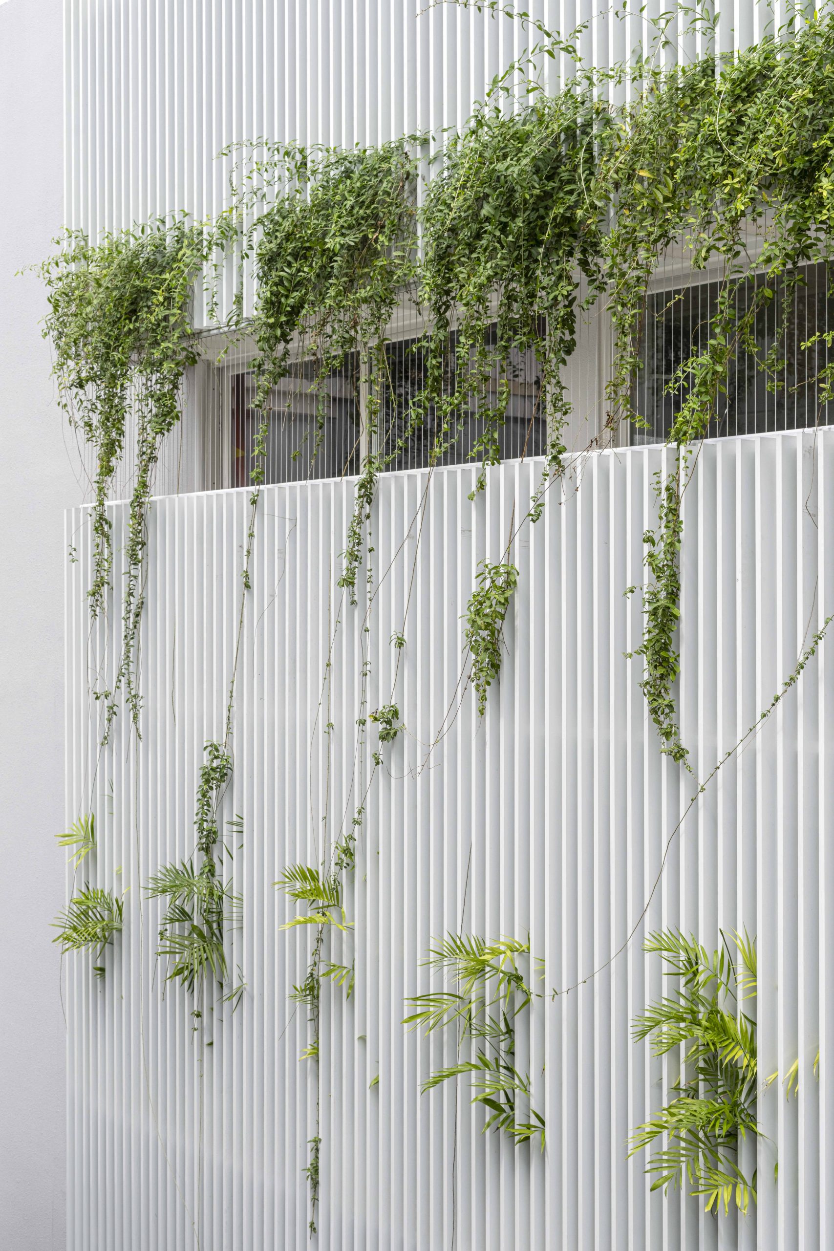 Half Solid House by Túi Studio in Vũng Tàu, Vietnam