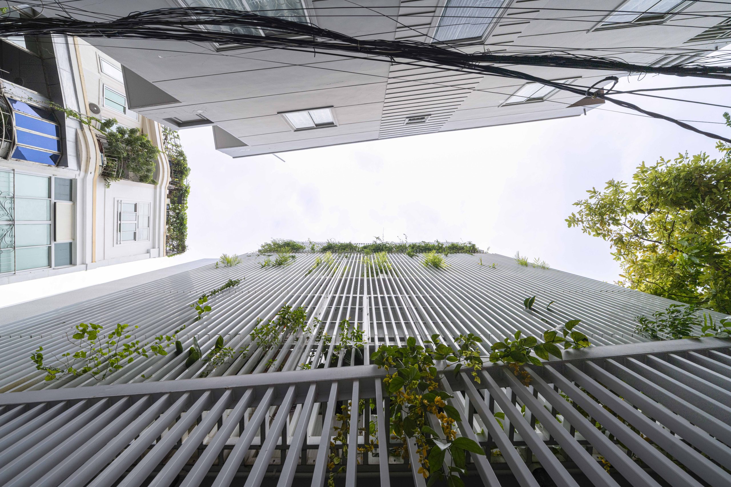 Half Solid House by Túi Studio in Vũng Tàu, Vietnam