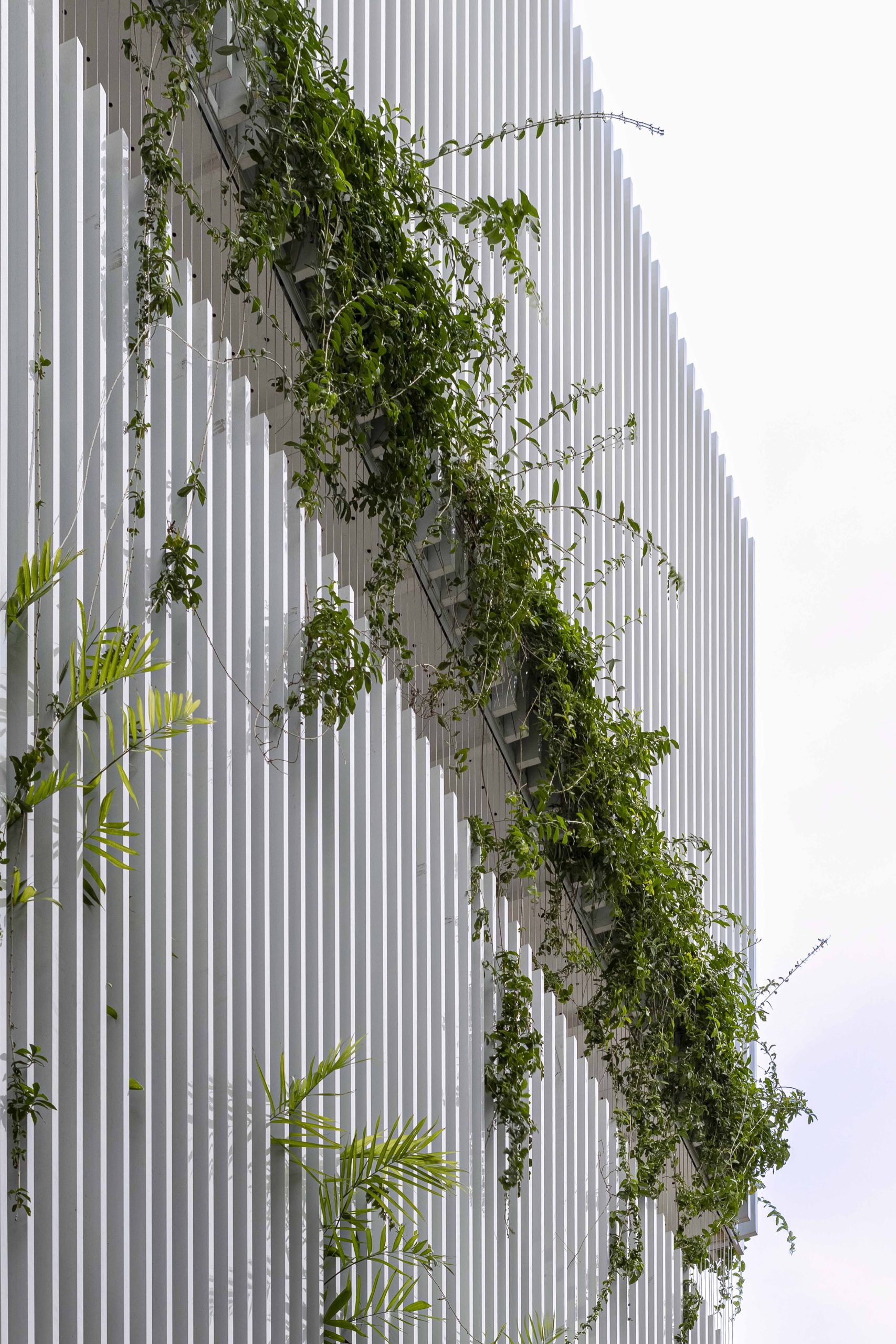 Half Solid House by Túi Studio in Vũng Tàu, Vietnam