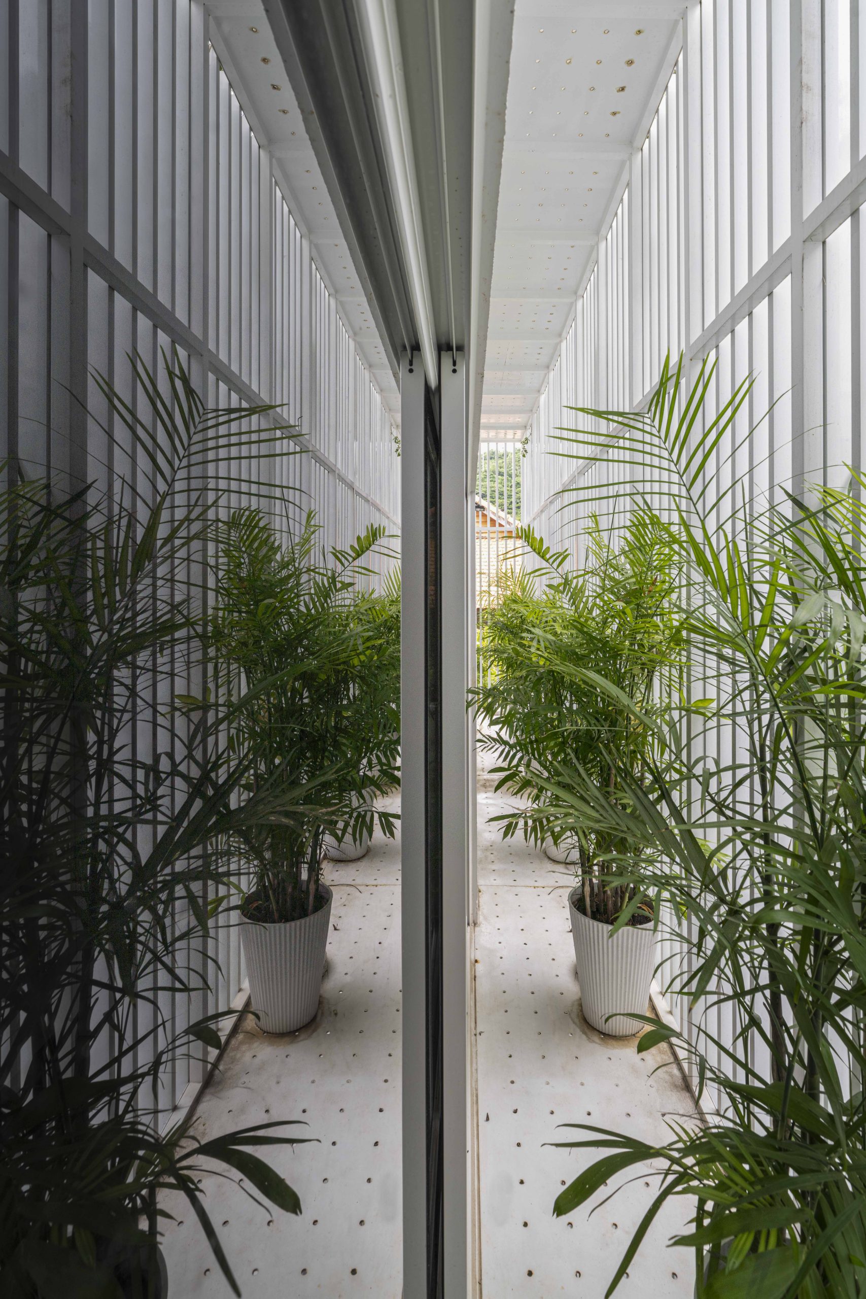 Half Solid House by Túi Studio in Vũng Tàu, Vietnam