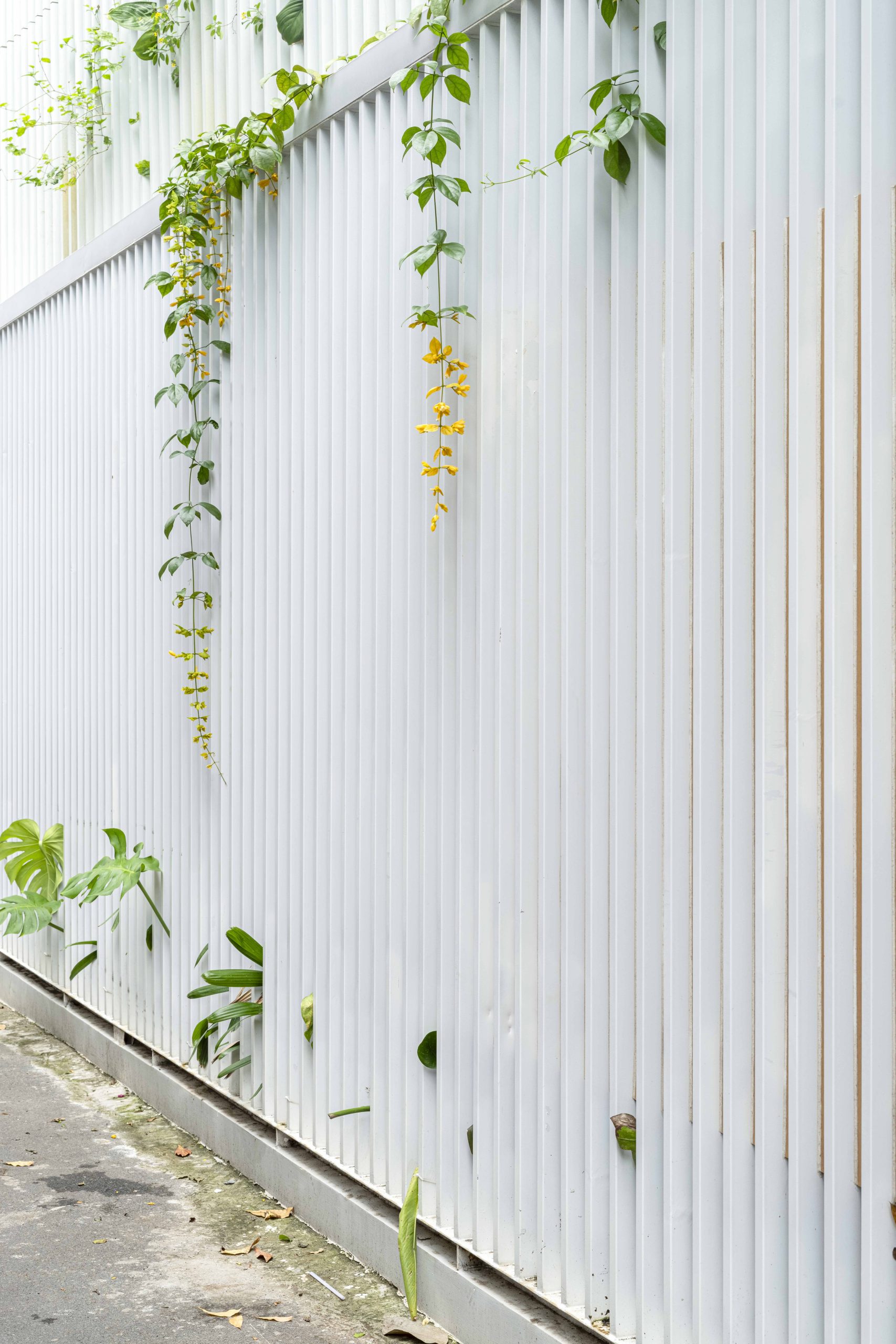 Half Solid House by Túi Studio — Vũng Tàu, Vietnam