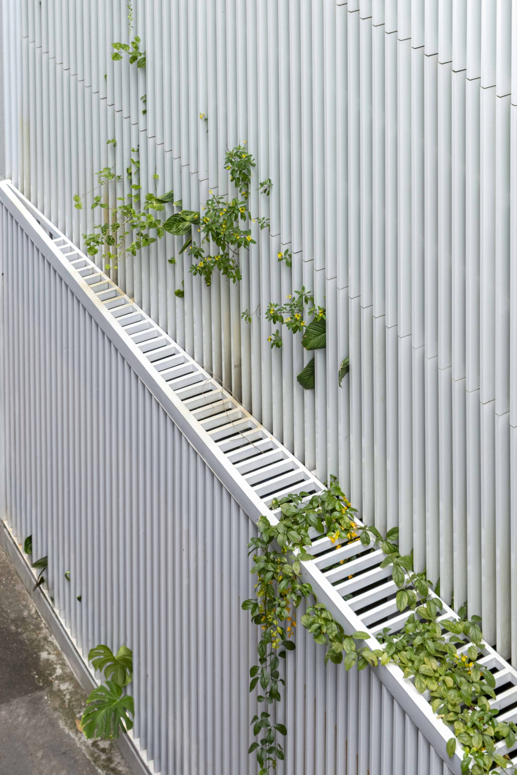 Half Solid House by Túi Studio — Vũng Tàu, Vietnam
