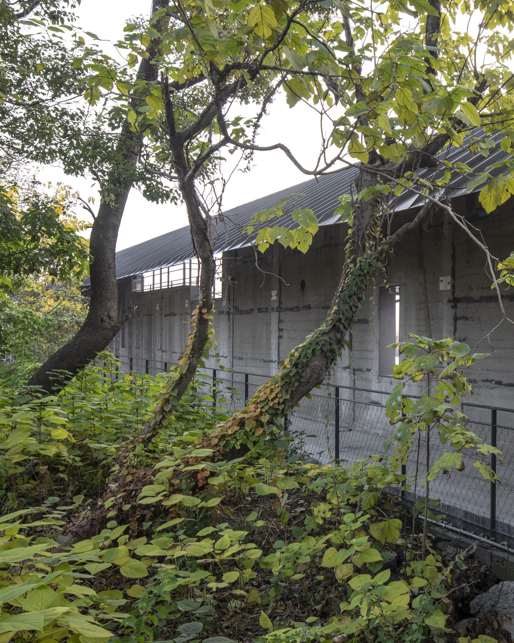 Riverside Passage by Atelier Deshaus, photographed by Tian Fangfang