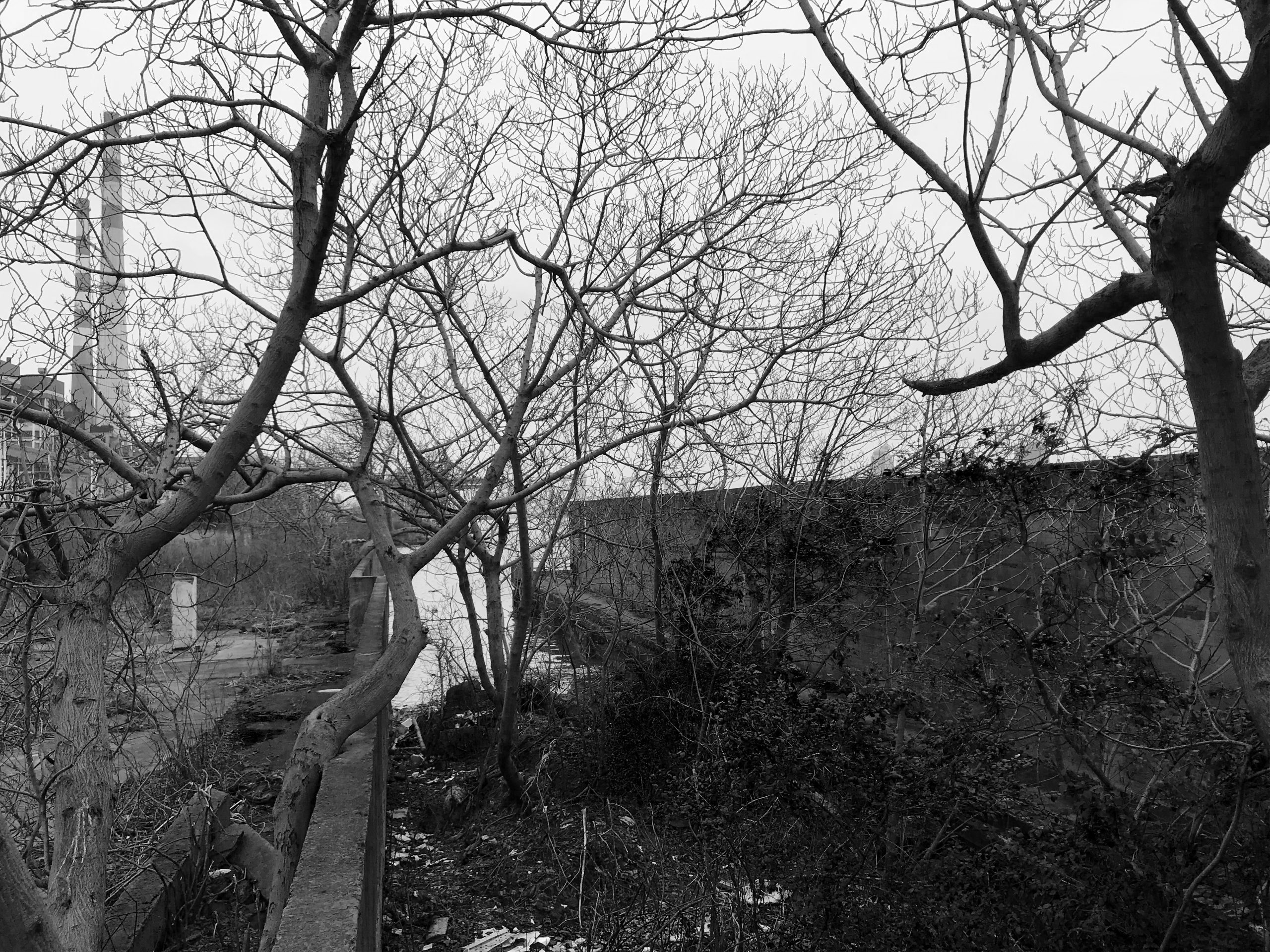 Riverside Passage before construction