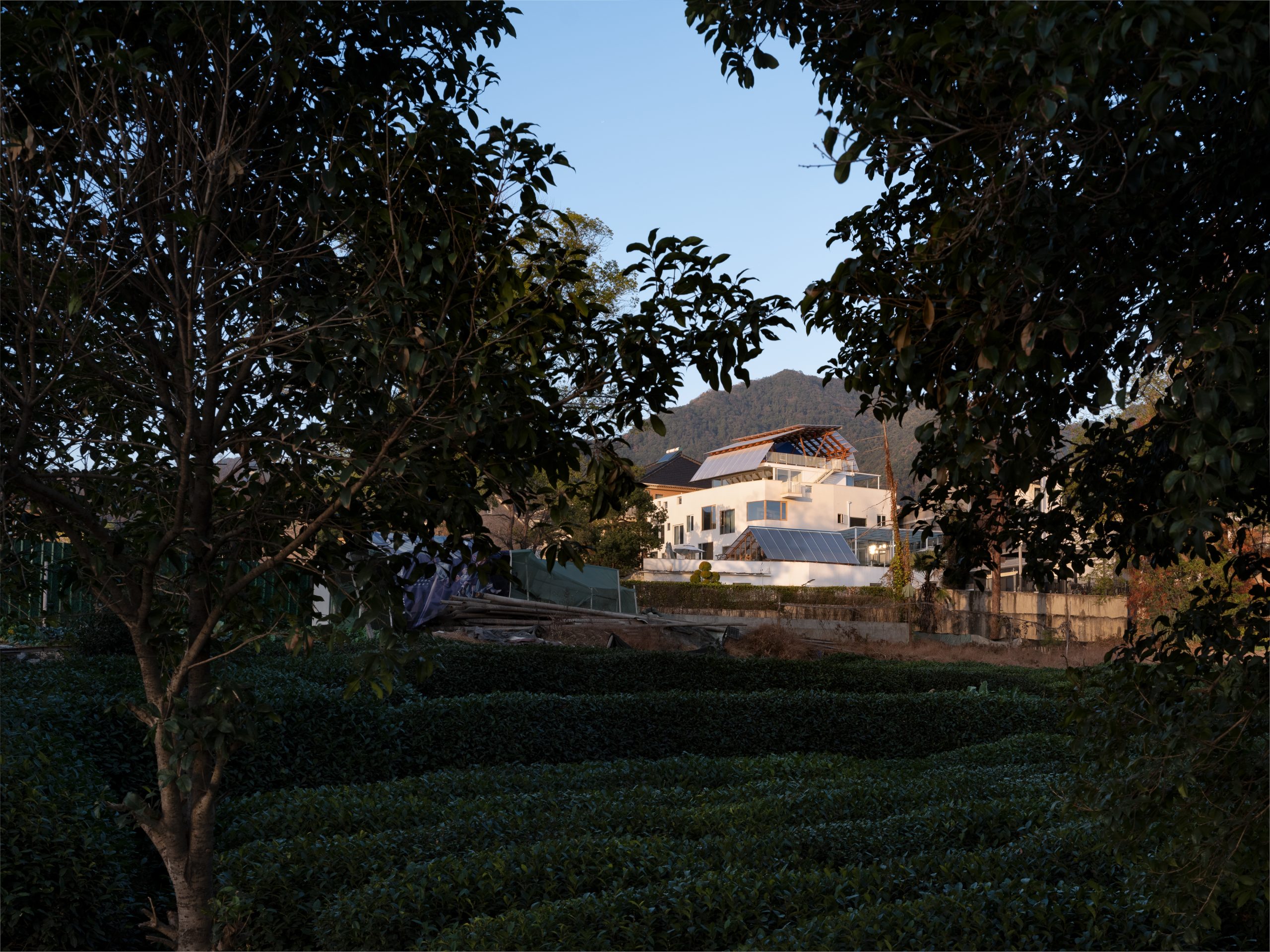 Growing House, image 10