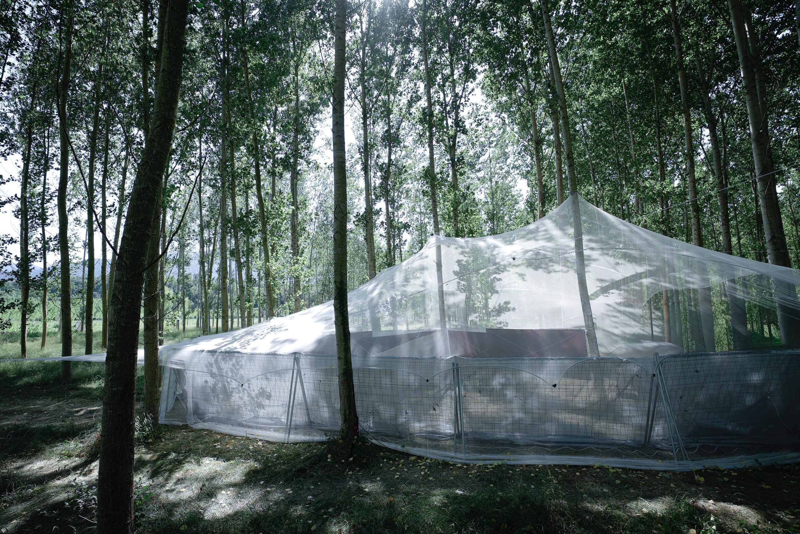 Roof as a Screen, backstage pavilion at Rizomes