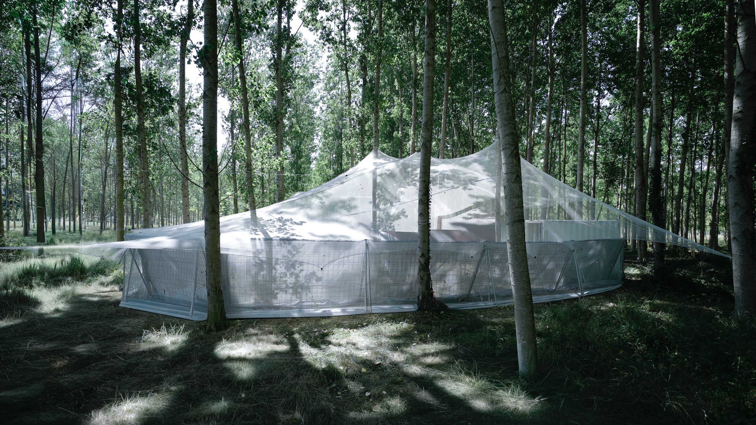 Roof as a Screen temporary pavilion at Rizomes, photograph 1