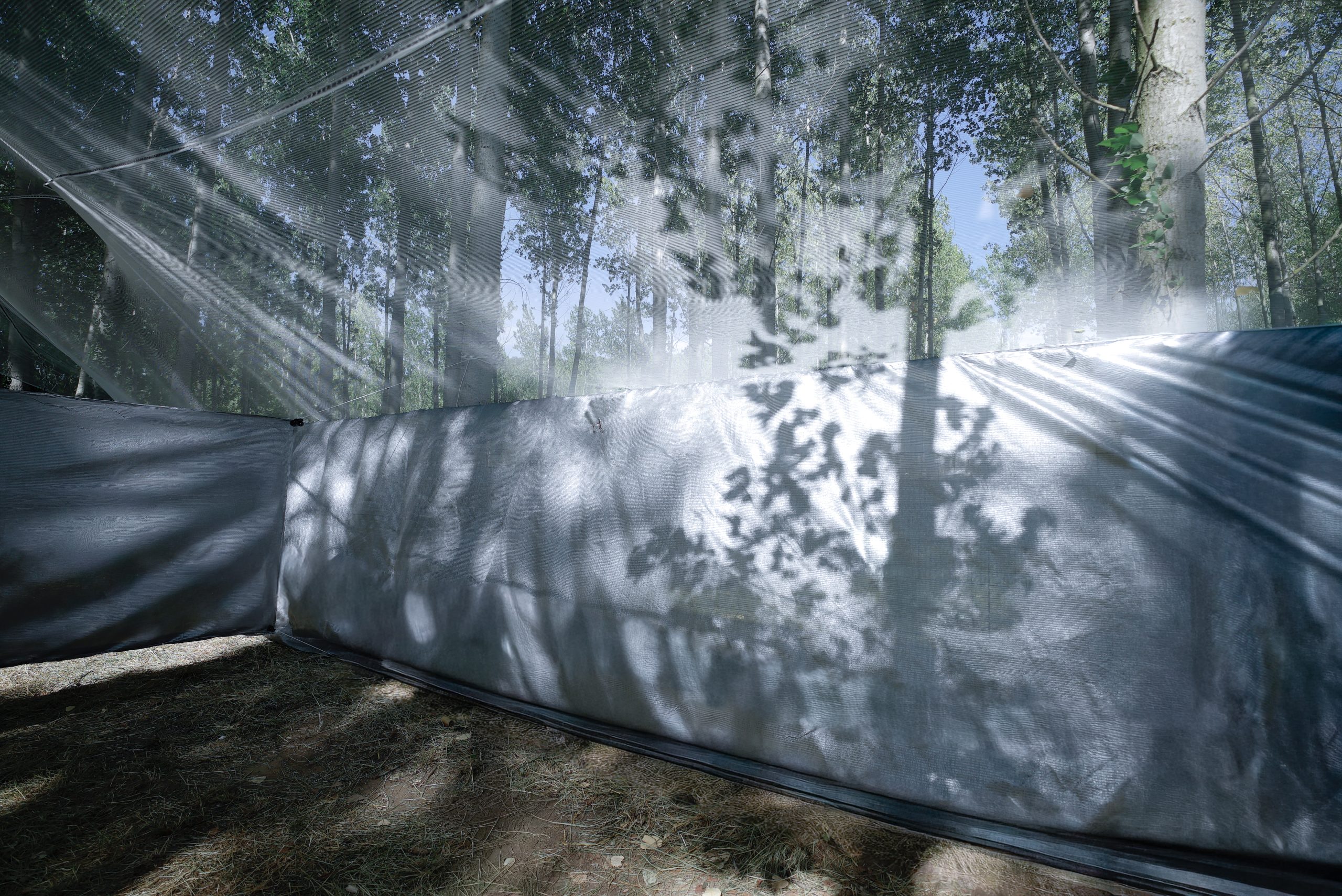 Roof as a Screen, backstage pavilion at Rizomes