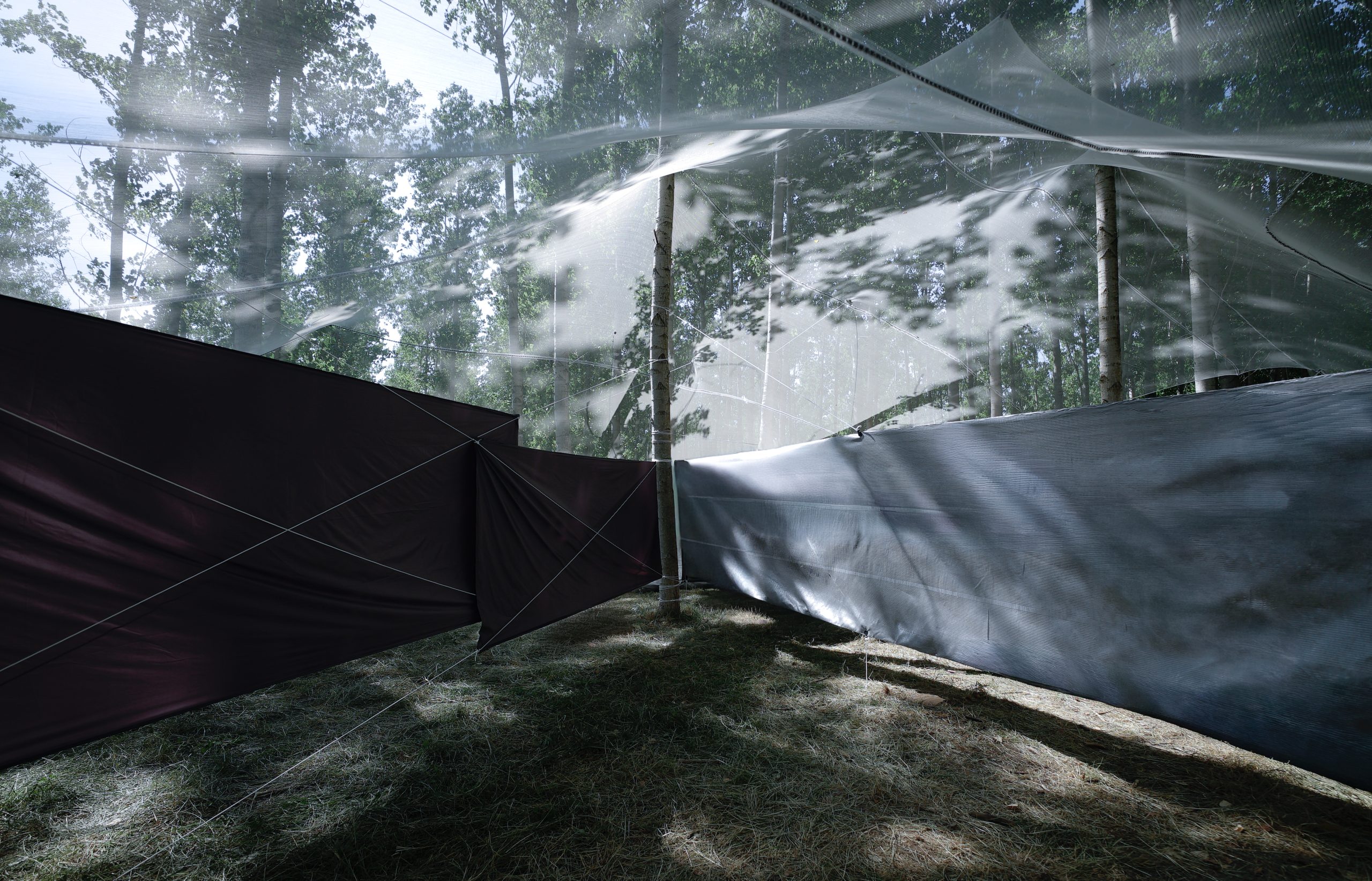 Roof as a Screen, backstage pavilion at Rizomes