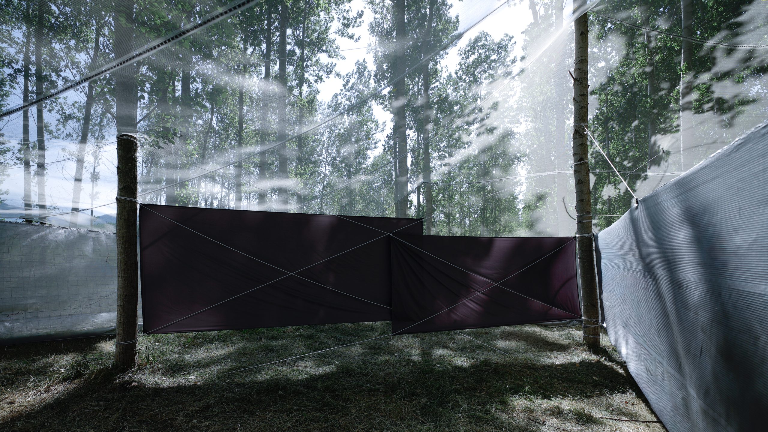 Roof as a Screen, backstage pavilion at Rizomes