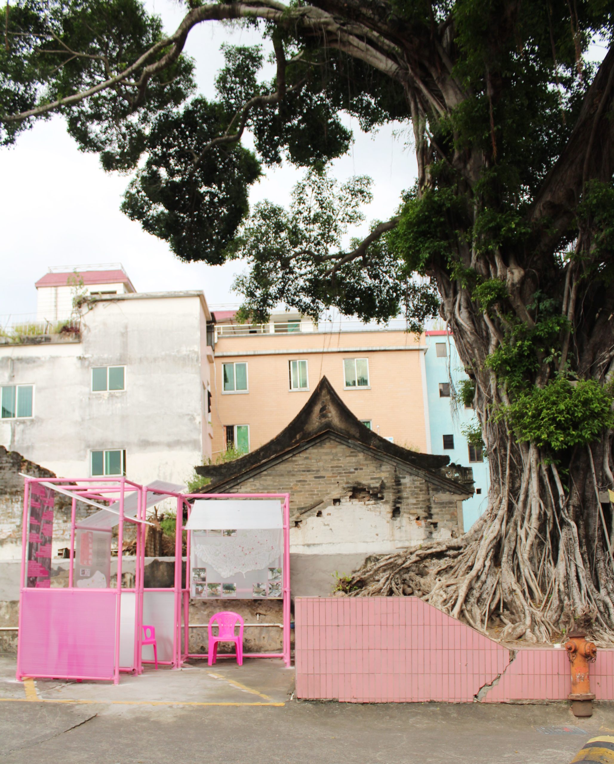 Memories Beneath the Banyan Tree – Distant View