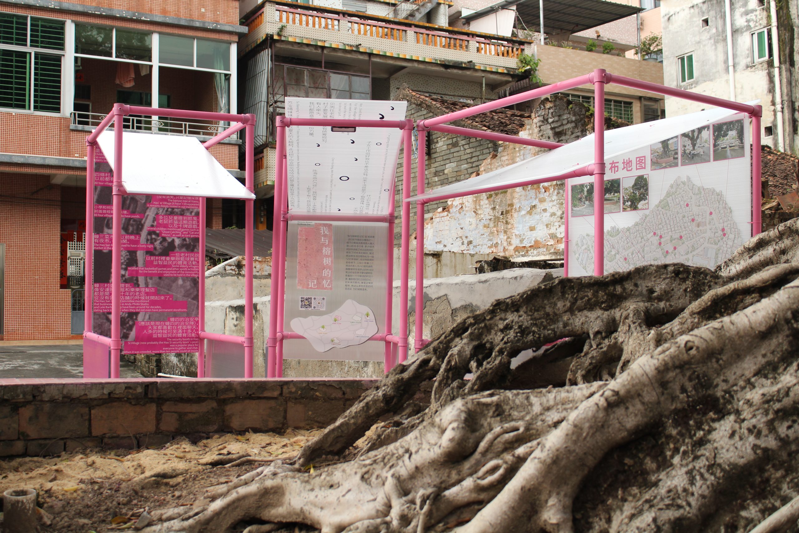 Memories Beneath the Banyan Tree – View of the Exhibition Pavilion from the Banyan Tree
