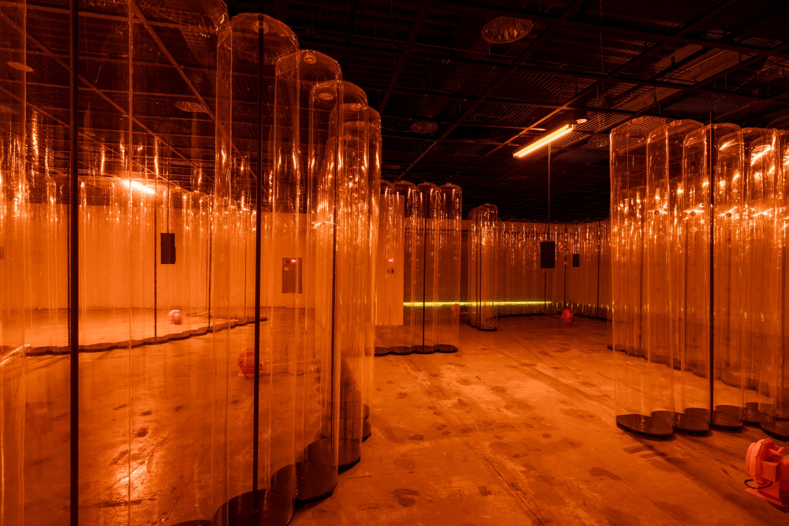 Five worlds of change at the Gwangju Biennale
