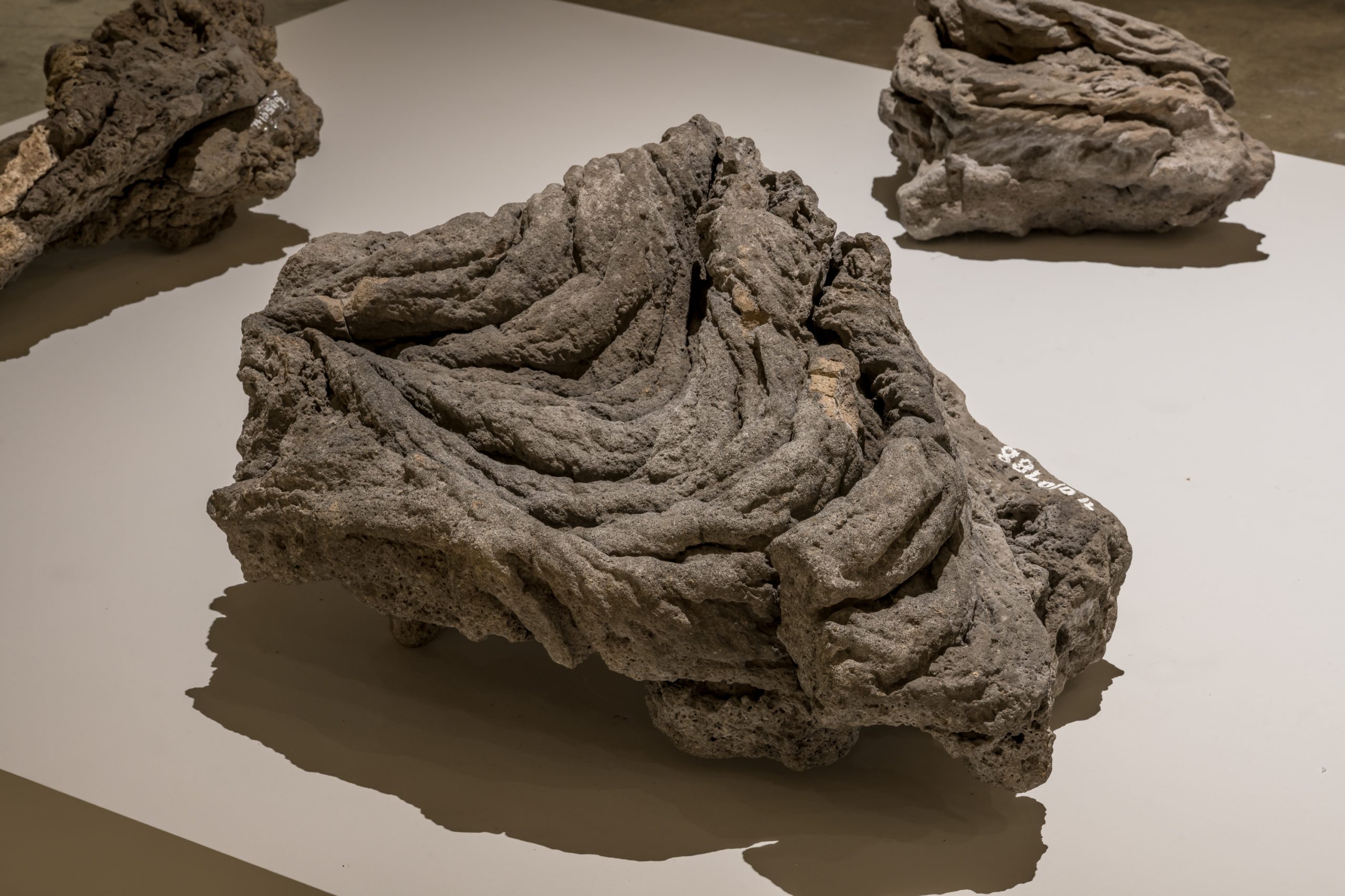Textured volcanic specimens from Jeju Stone Park exhibited at the Gwangju Biennale