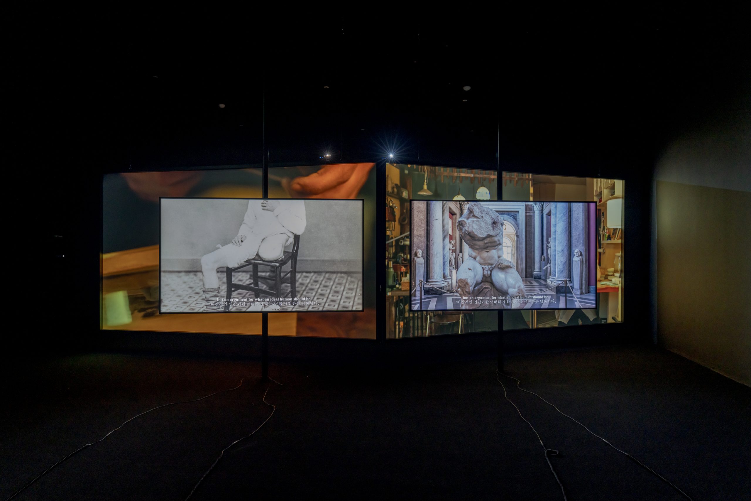 Two-channel moving-image installation by Wang Tuo