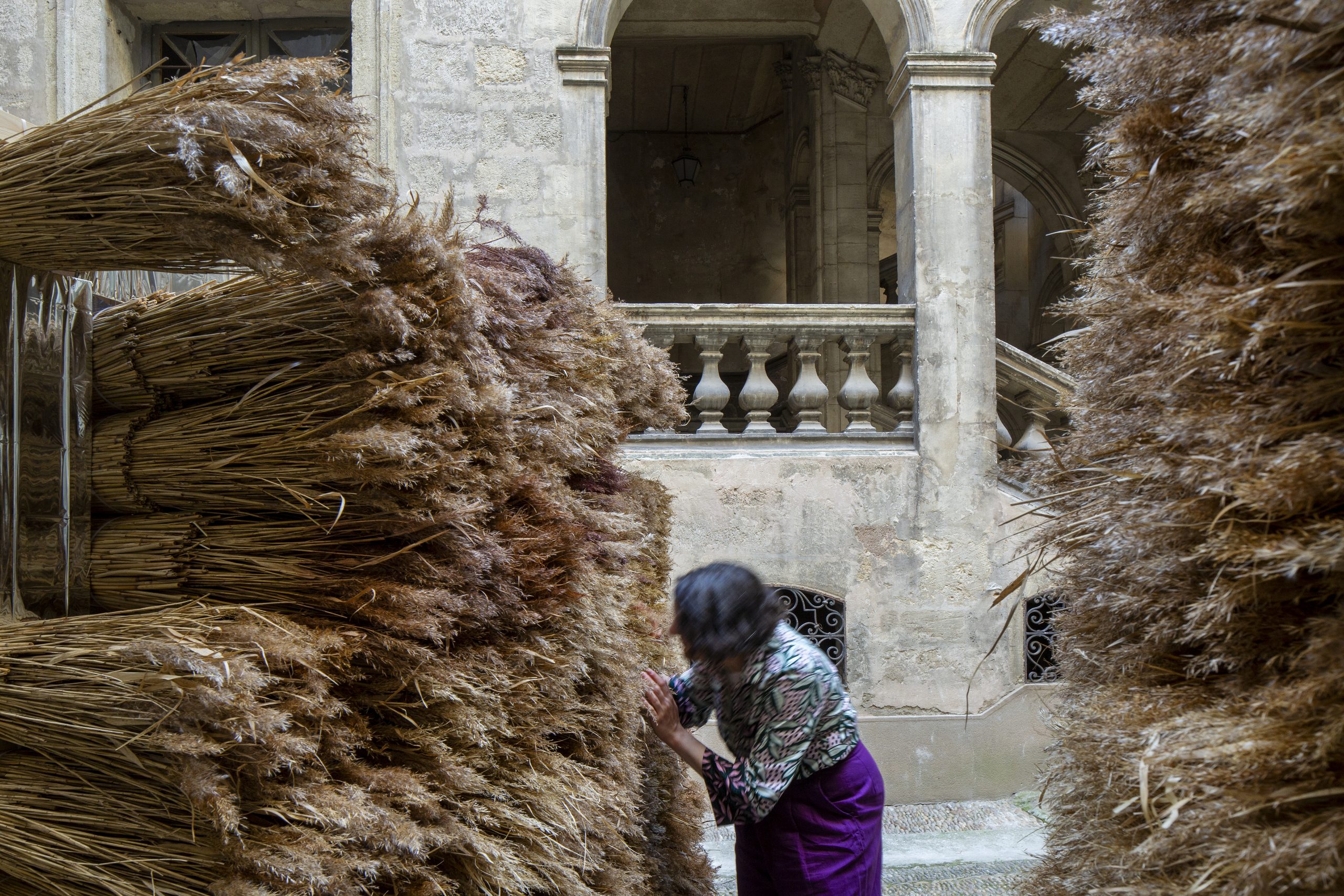 Visitor exploring the narrow passage between reed walls