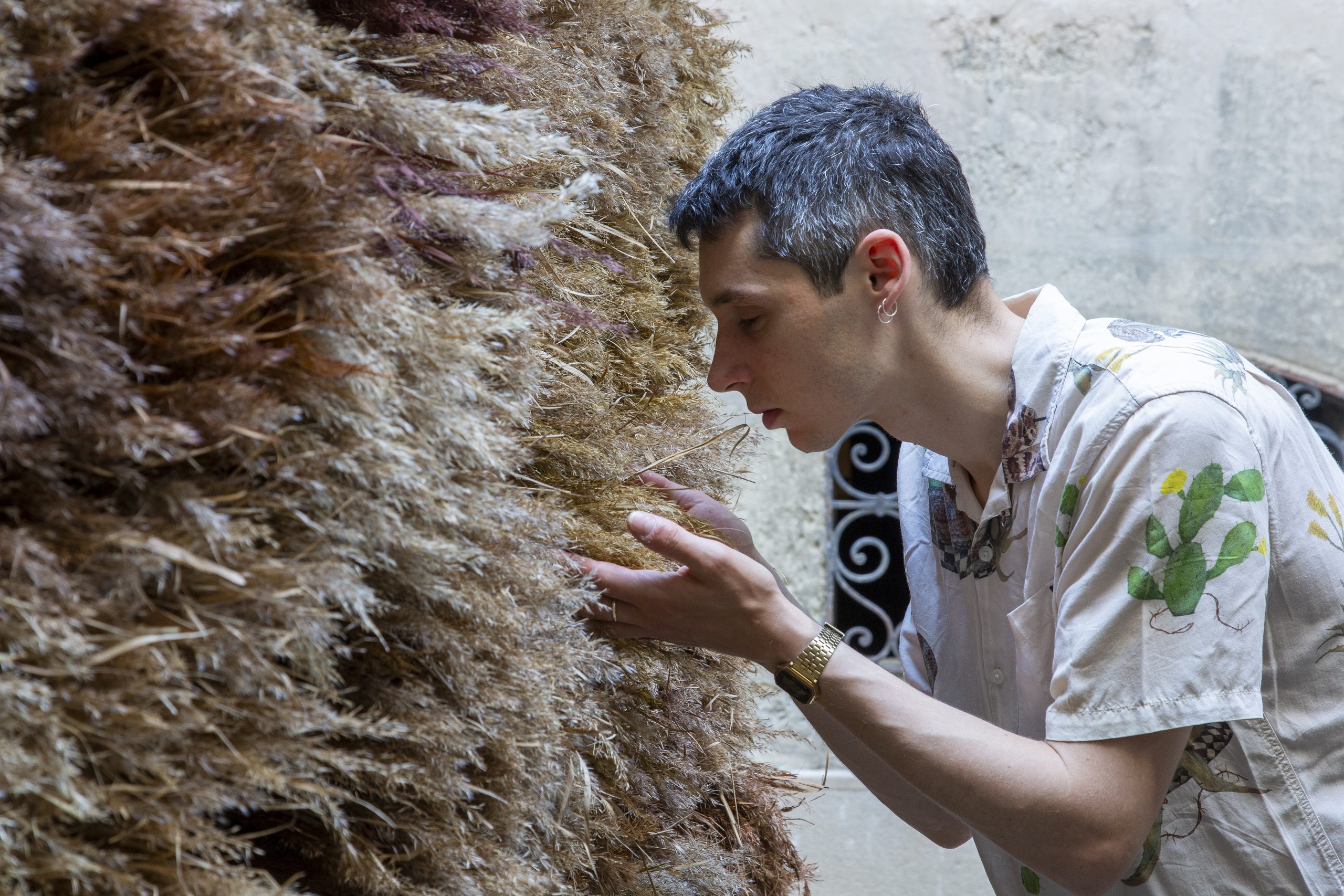 Visitor smelling the dried reed surface