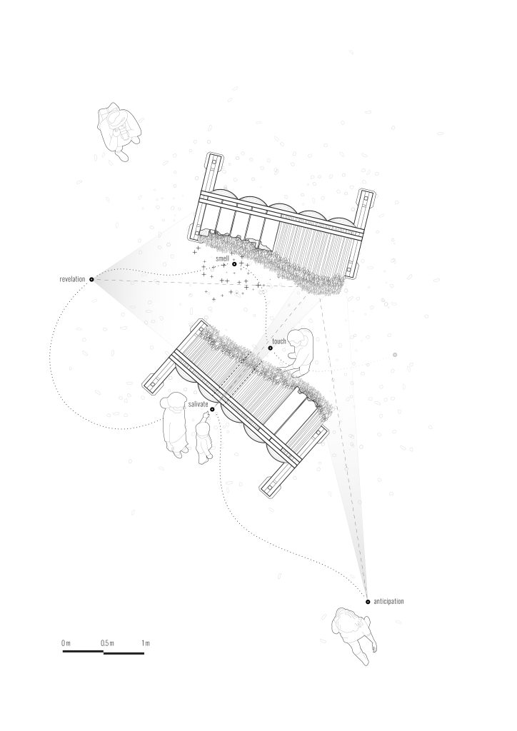 Plan drawing of the converging walls and visitor passage