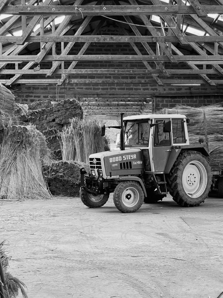 Reed storage and handling inside a barn