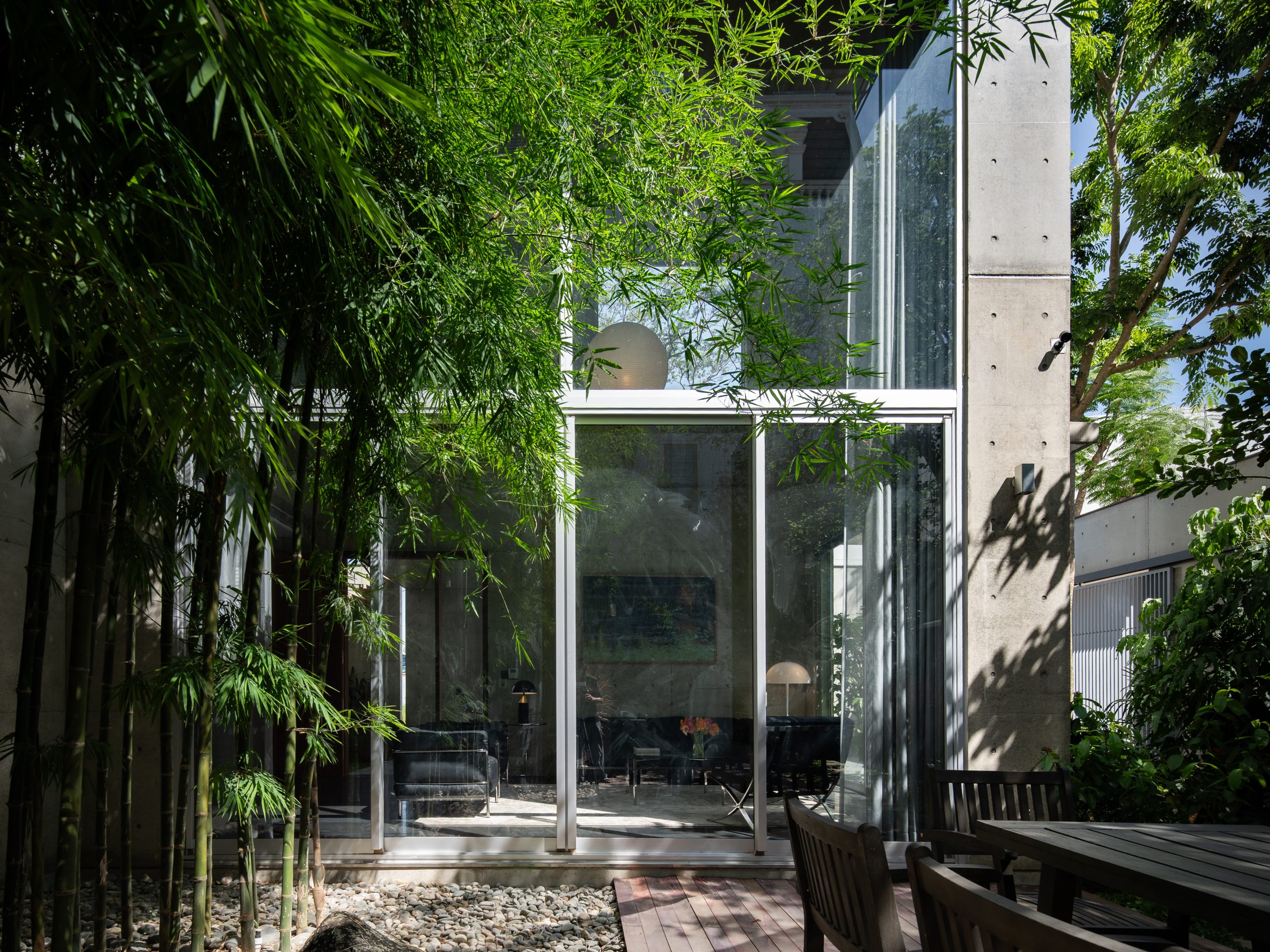 Tall glazing around the bamboo courtyard, House K by HGAA
