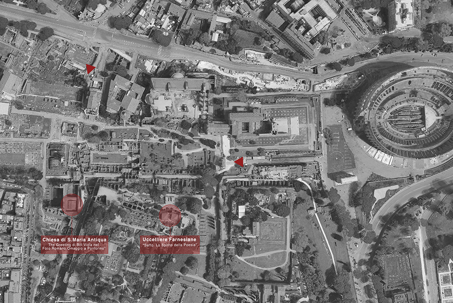 Site plan locating Santa Maria Antiqua and the Farnese Aviaries