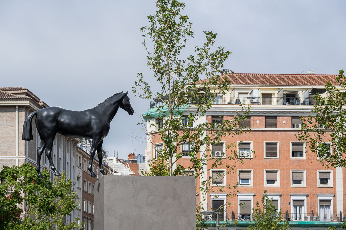 Gonzalo Lebrija’s horse sculpture framed by trees and buildings around Plaza del Carmen