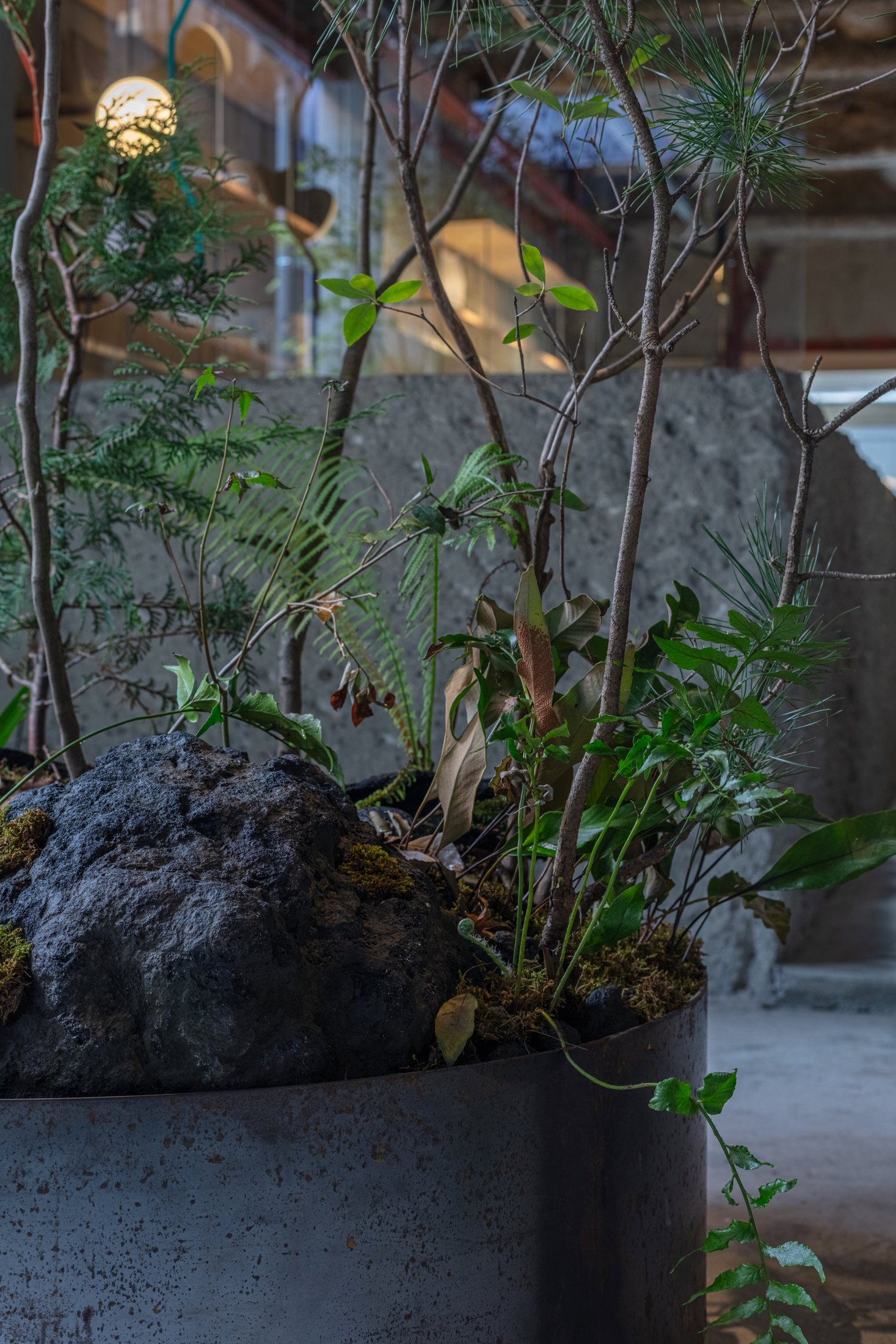 Trees and planting in a steel container at Maniwa