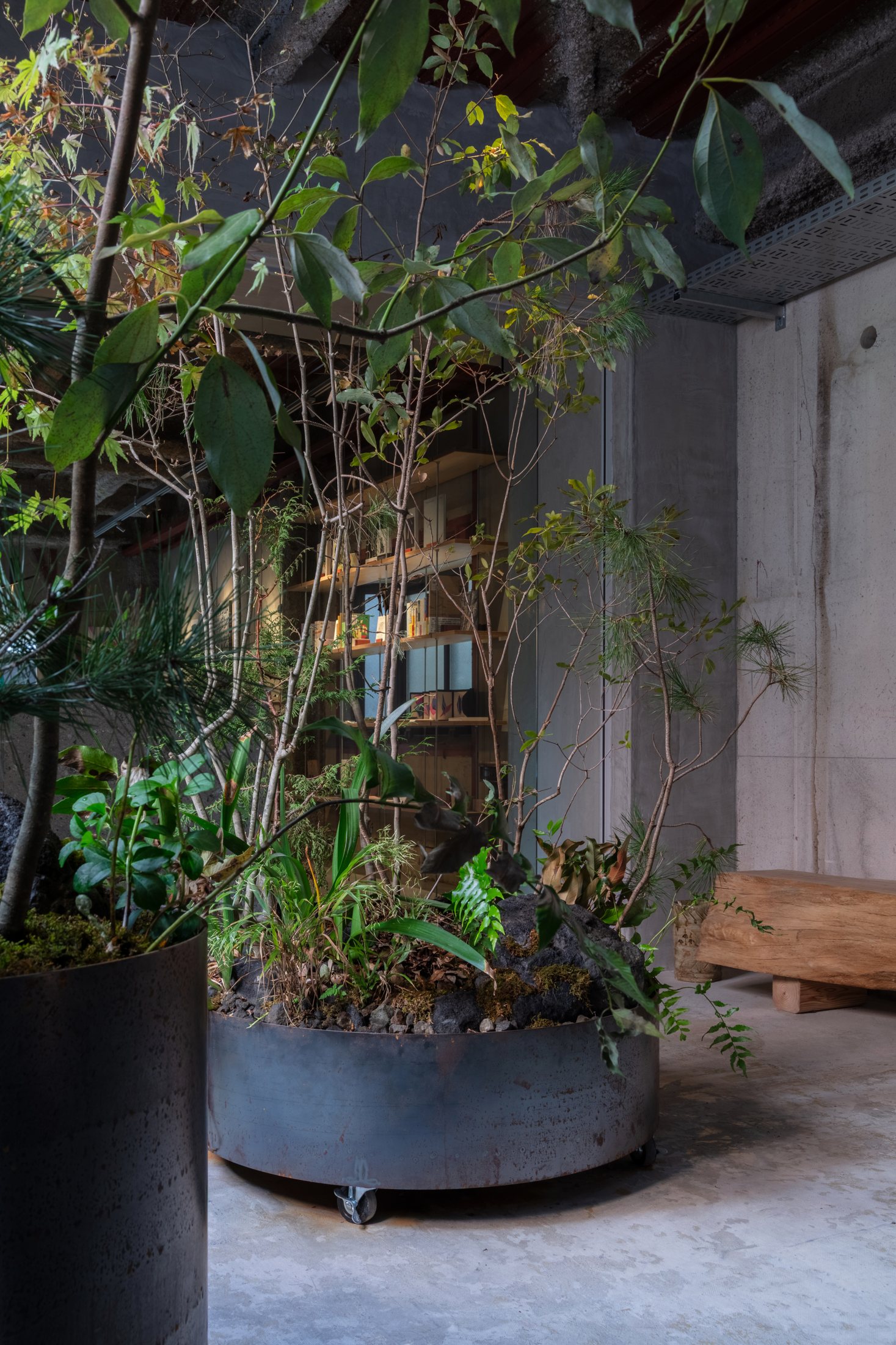 Circular steel planter on casters beside the garden bench