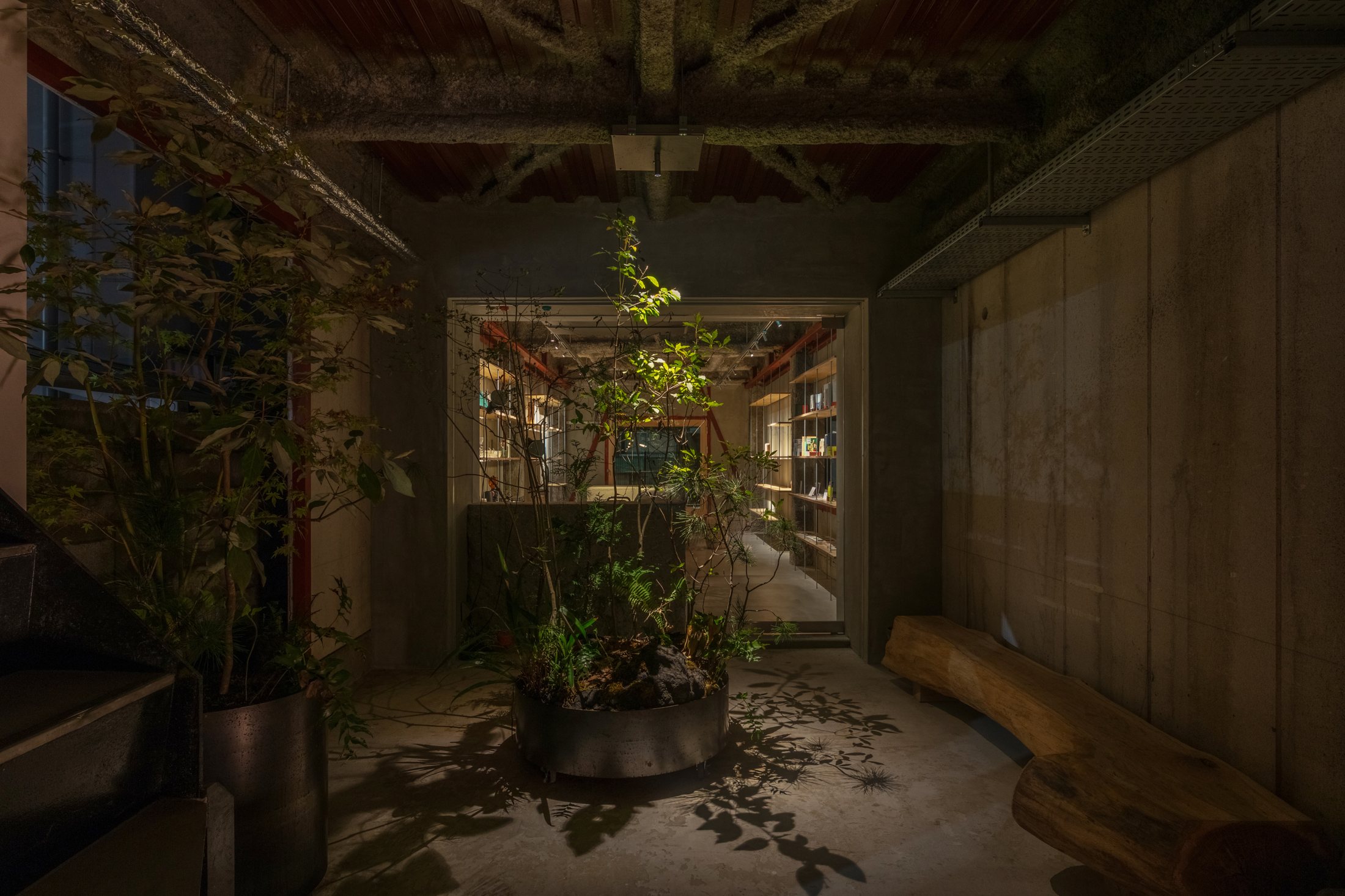 Maniwa entrance garden illuminated after dark