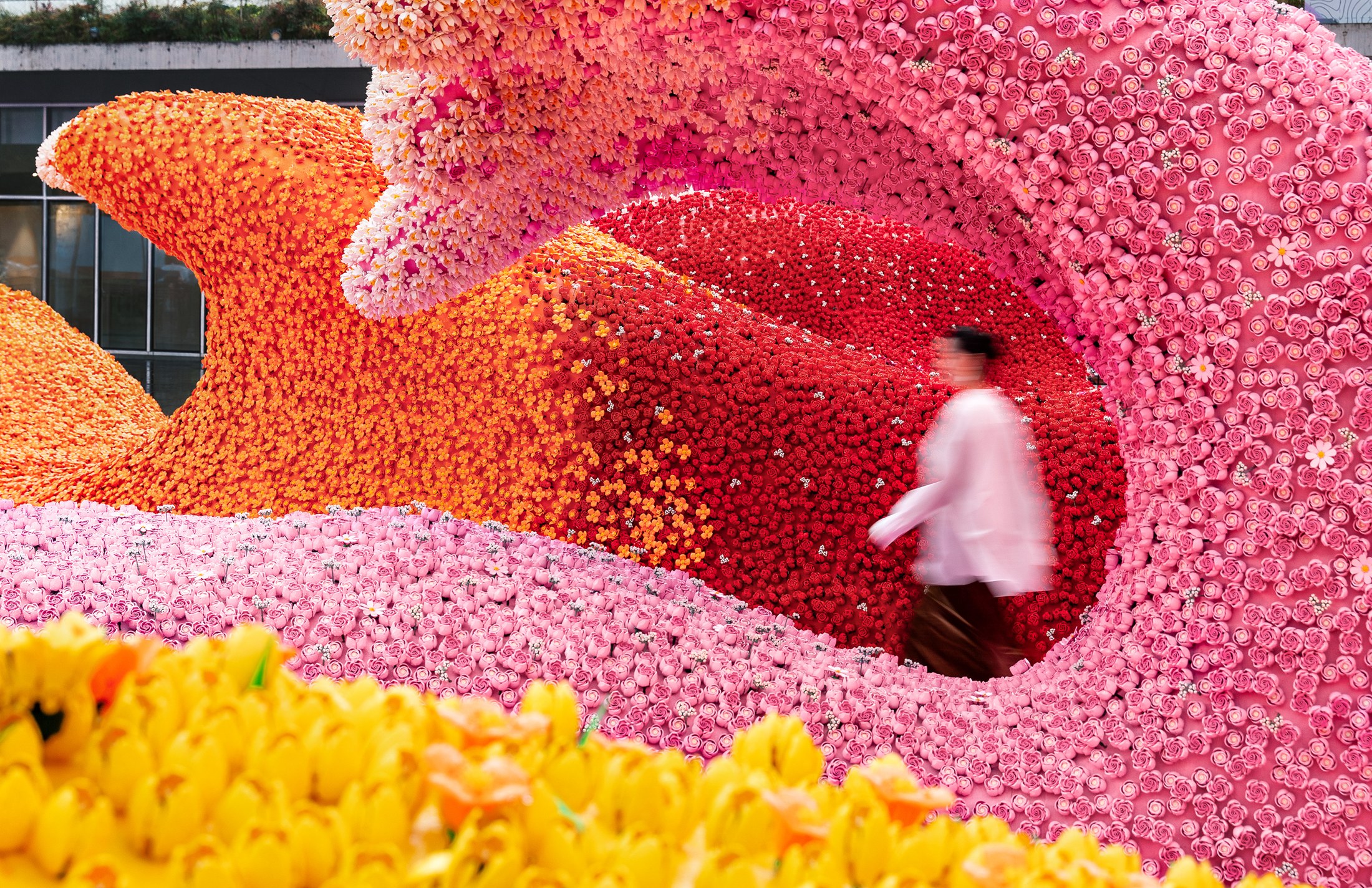 Visitor passing the pink curved surfaces of the botanical installation
