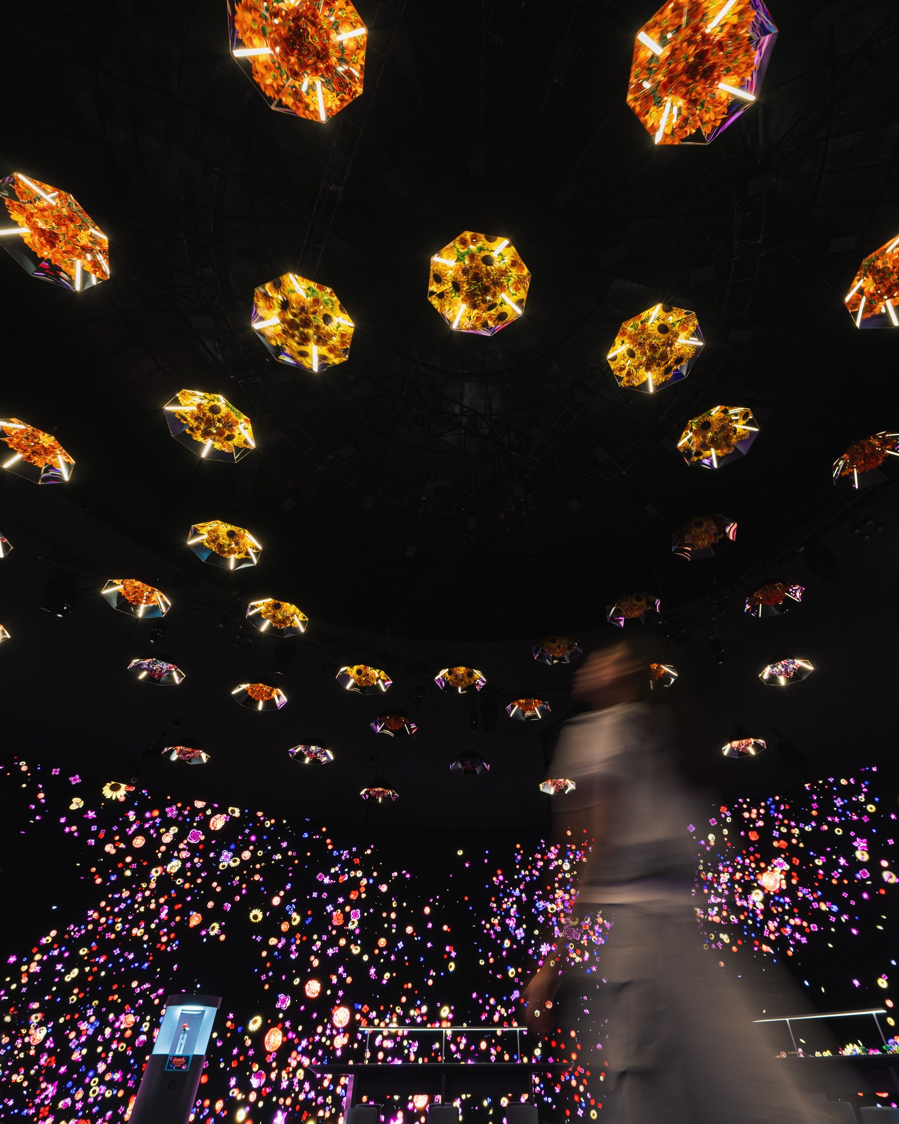 Flowers projected overhead in the exhibition interior