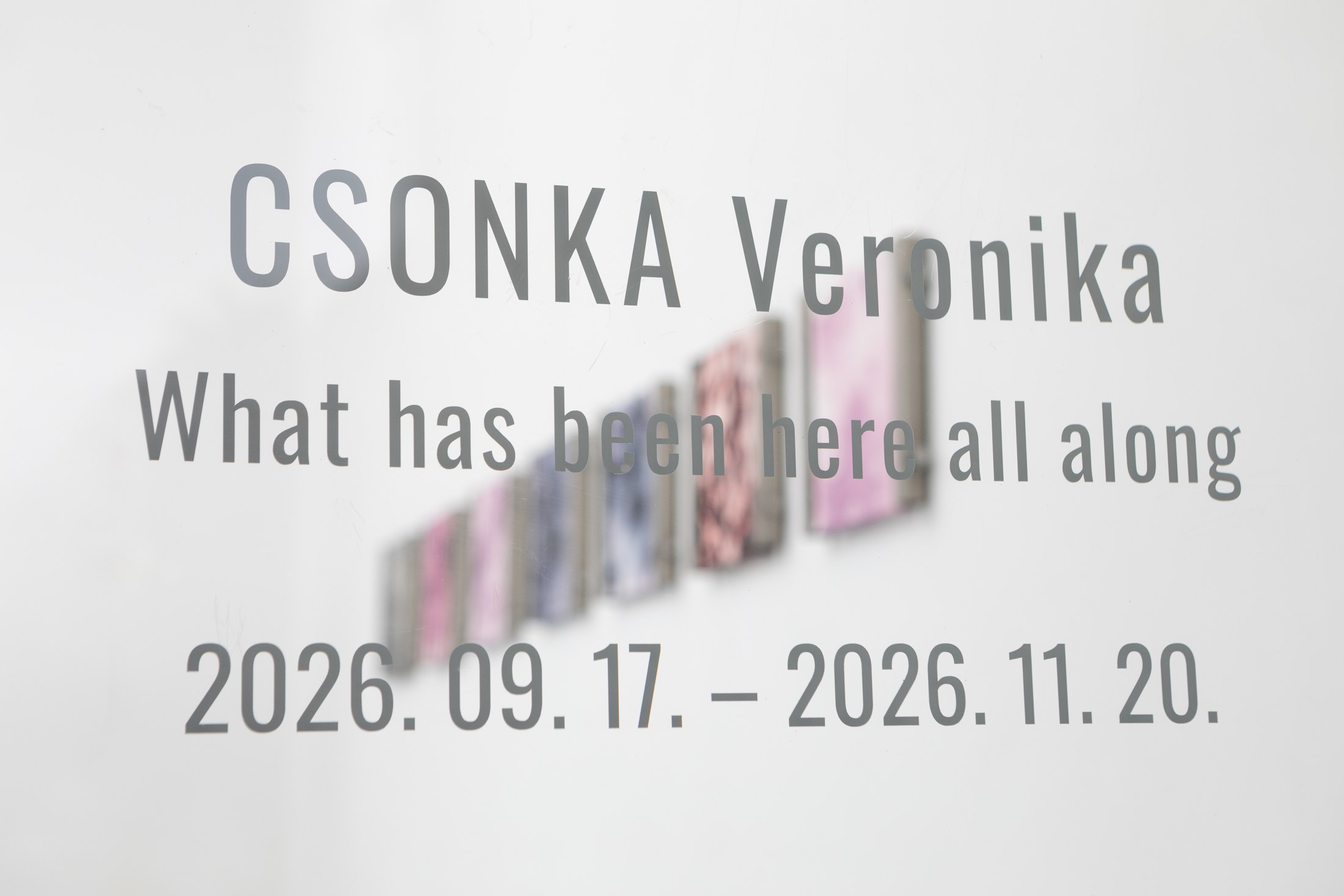 Exhibition title on the wall at Ani Molnár Gallery