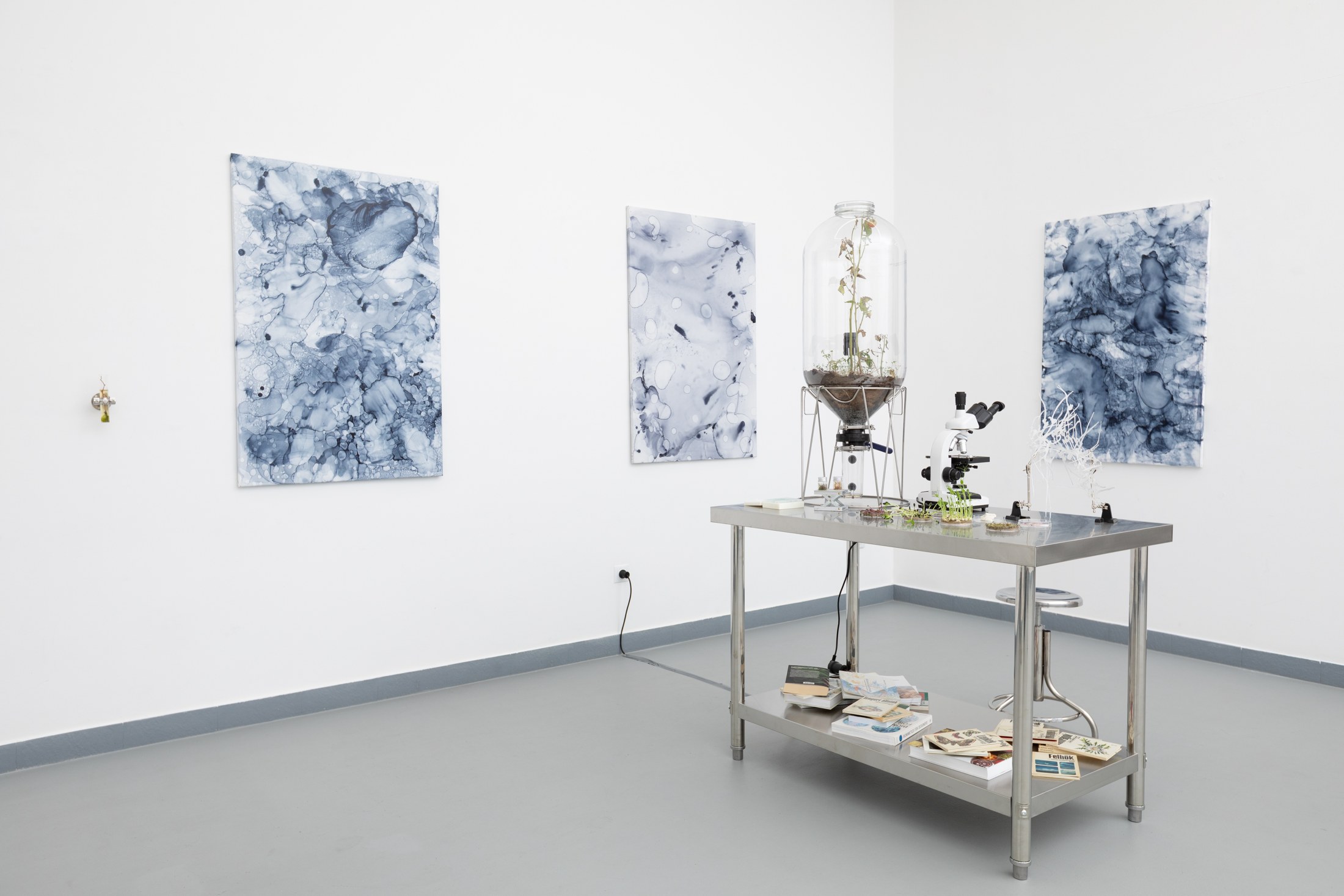 Veronika Csonka paintings surrounding a table of observation materials