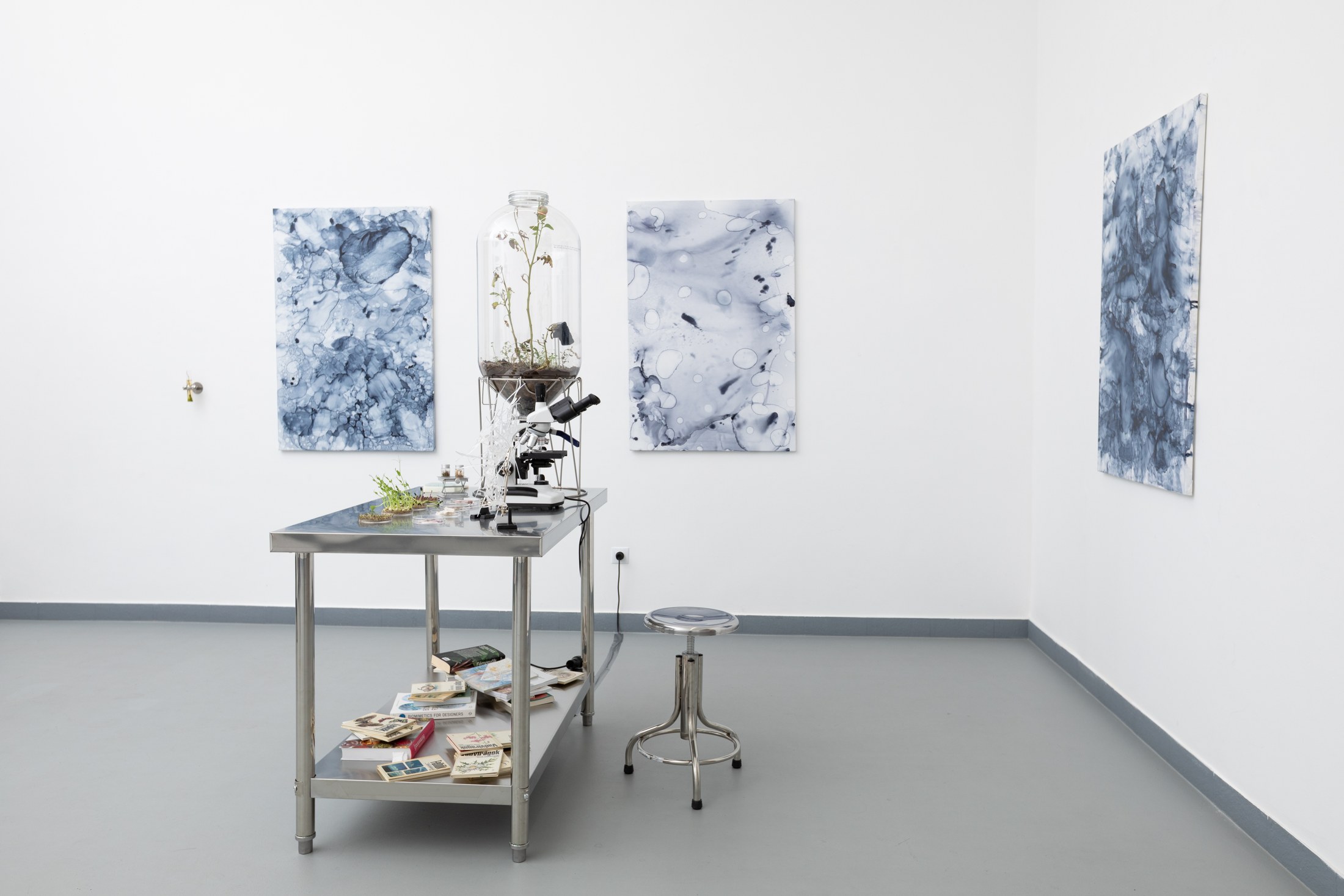 Microscope and plants displayed between blue paintings