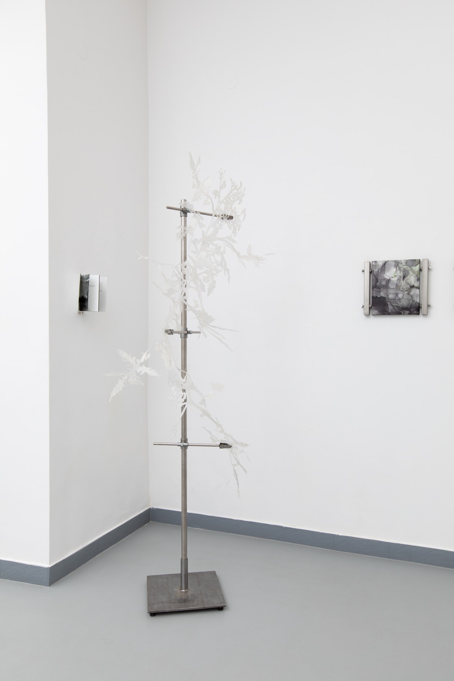Branching sculpture held on a laboratory stand