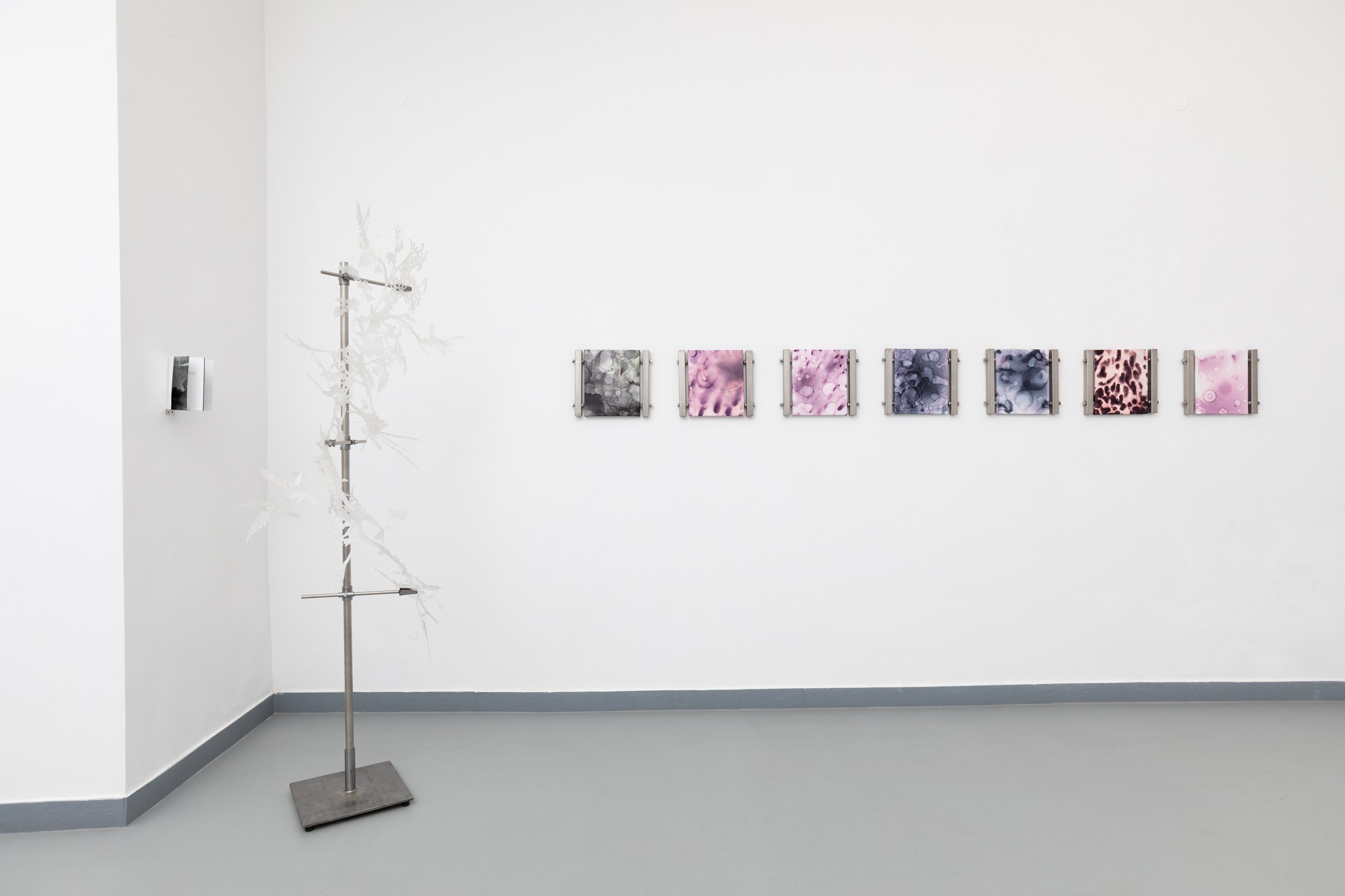 Installation view with sculpture and a sequence of images