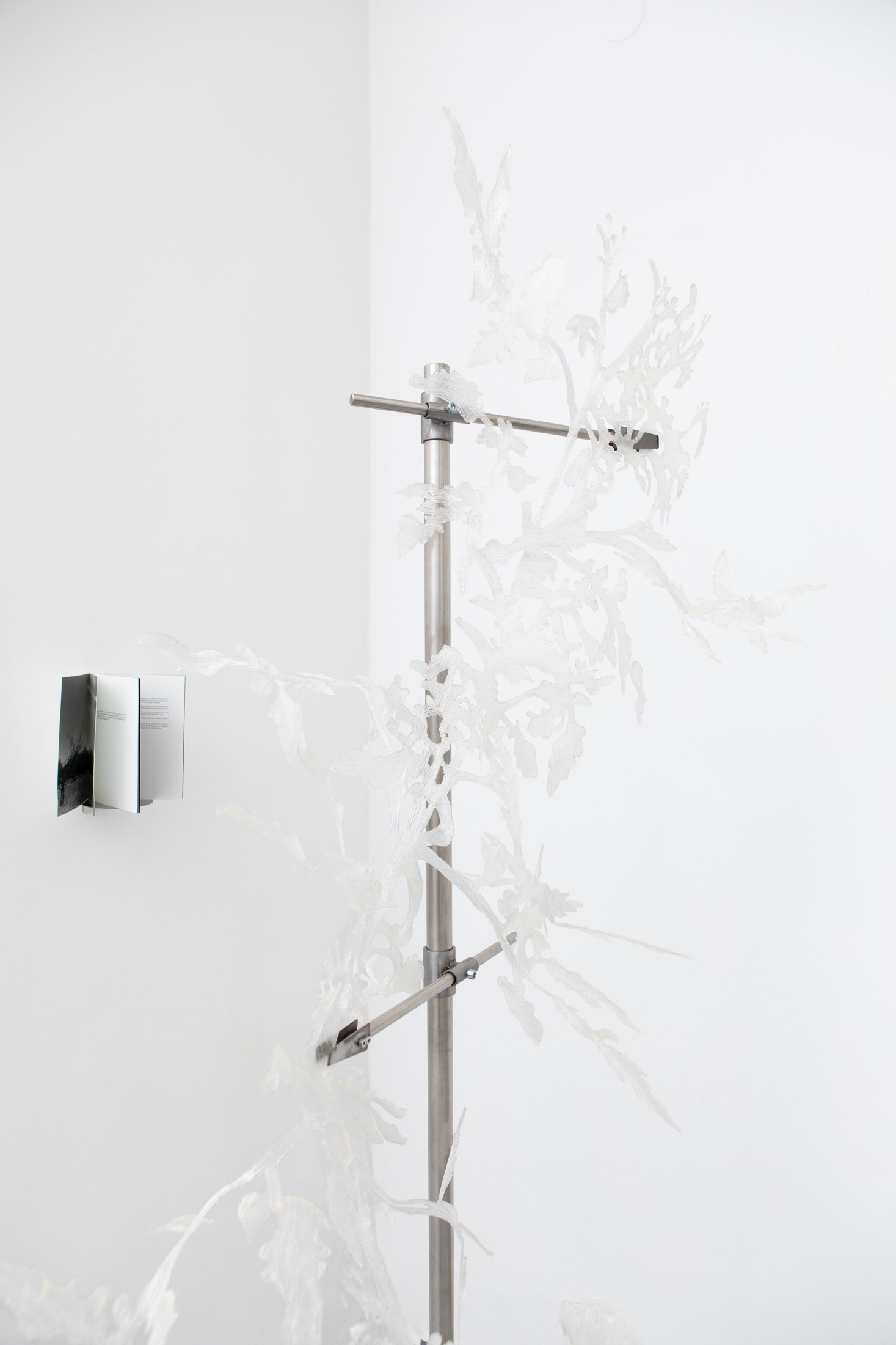 Clamps supporting a translucent branching form