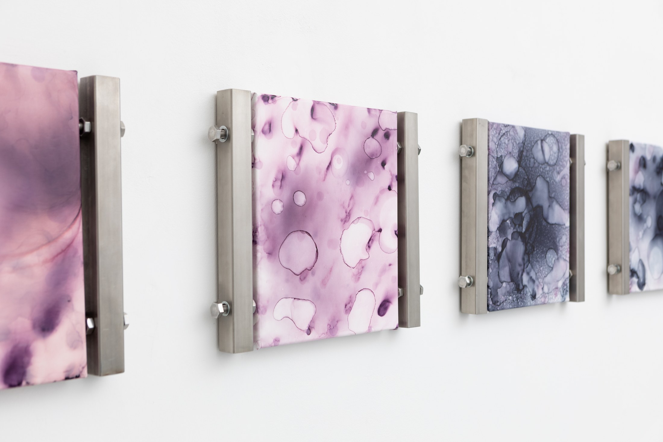 Pink microscopic forms displayed in metal mounts