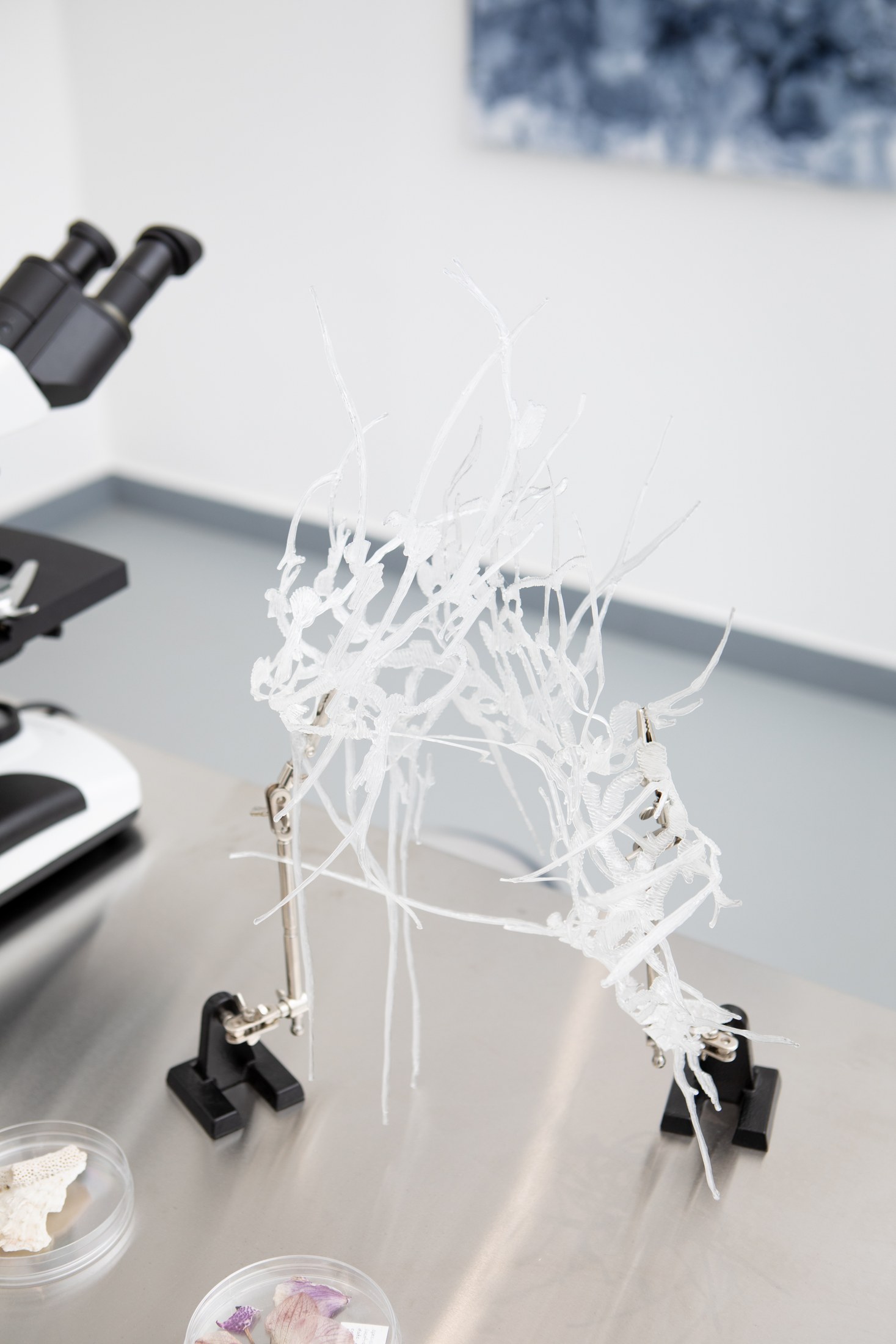 Microscope and branching object on the gallery table