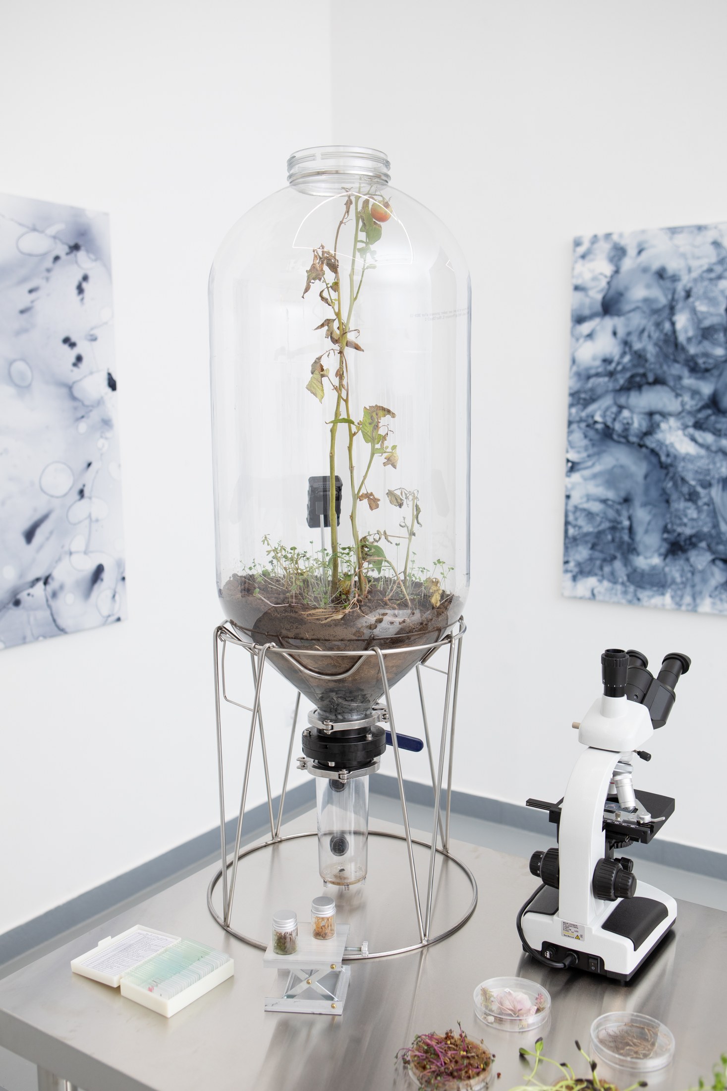 Transparent vessel and microscope among gallery paintings