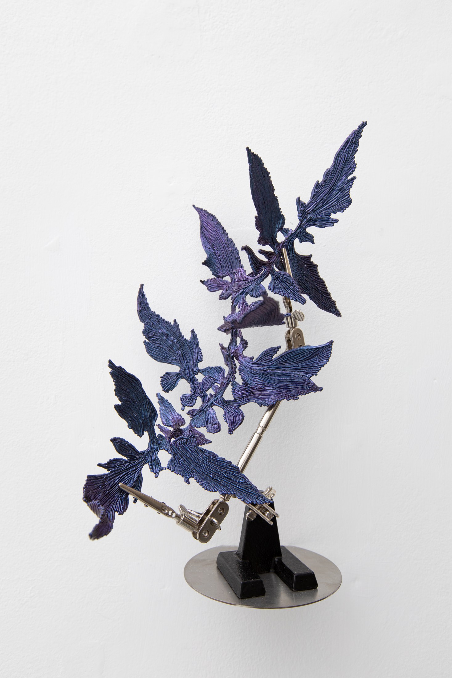 Dark blue branching object mounted on the gallery wall